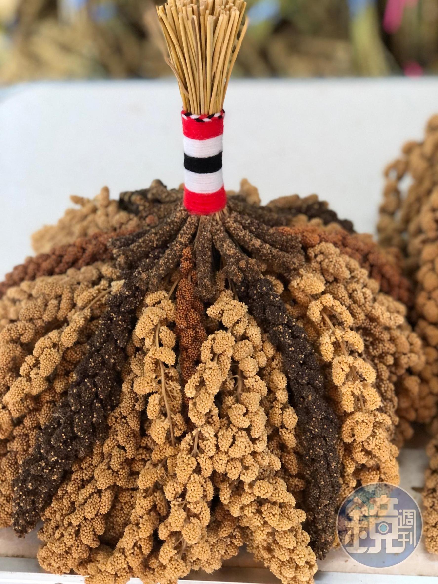 黑橘紅黃等彩色小米,一個都不能少,這是歐春香(歐媽媽)保留下來的各式品種。