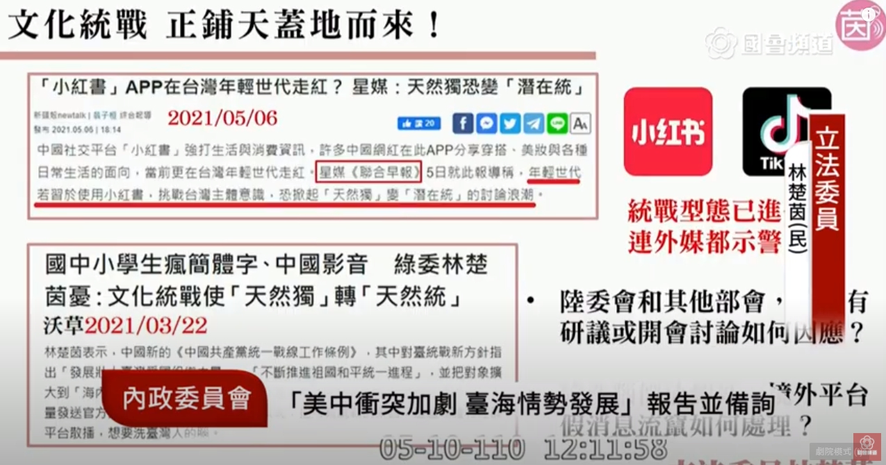 長期關注文化統戰的林楚茵，就指出新加坡媒體發現台灣年輕人因接觸中國相關資訊而被同化。（翻攝自國會頻道YouTube）