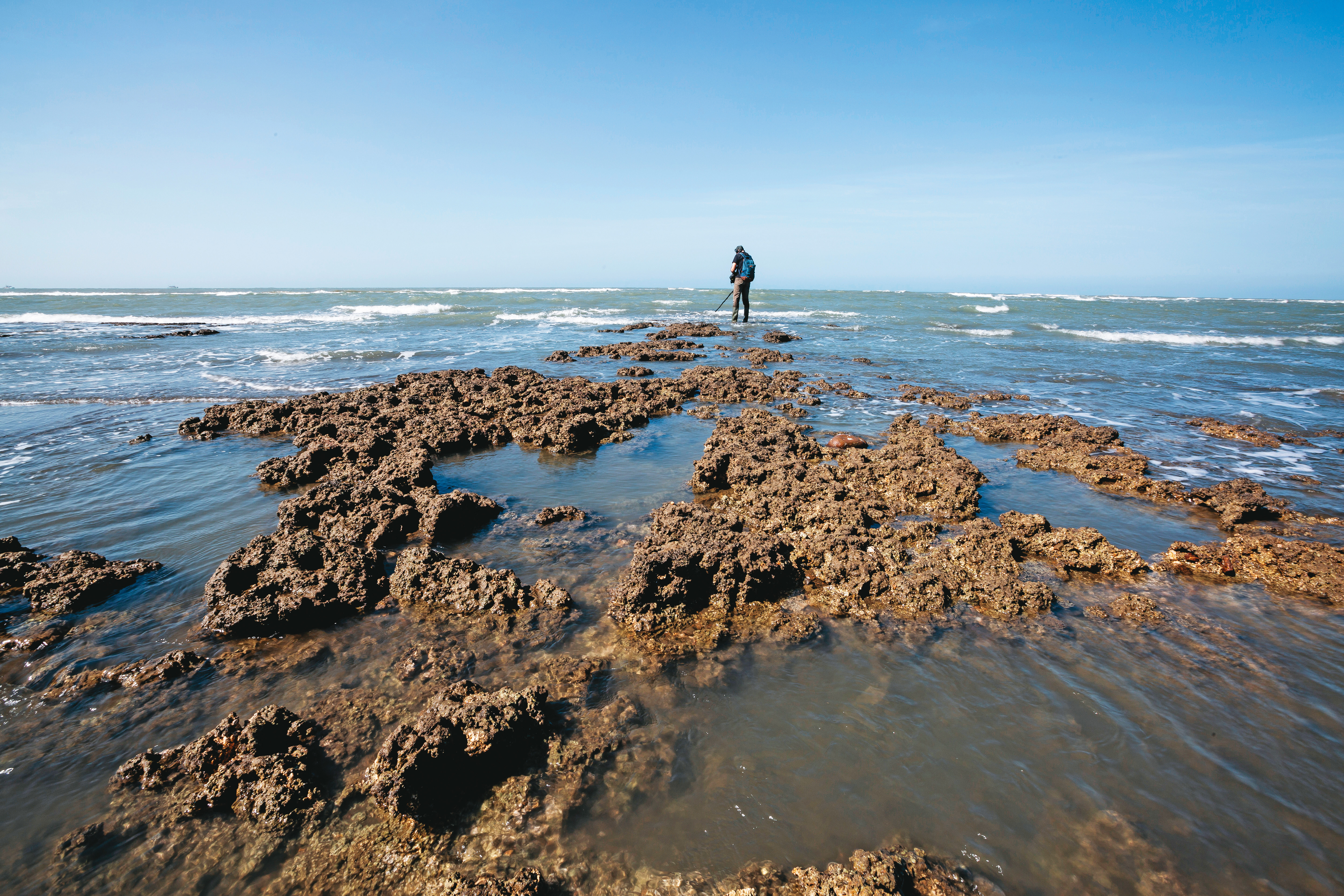 因應護藻礁公投，行政院提出中油第三天然氣接收站外推方案，引發環團及民進黨支持者的分裂。