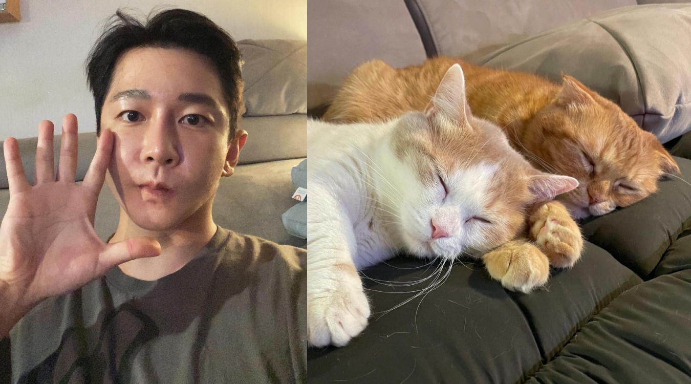 韓國藝人J.Yoon今（13日）被發現在家去世，他留下兩隻愛貓，教人不勝唏噓（翻攝J.Yoon IG）