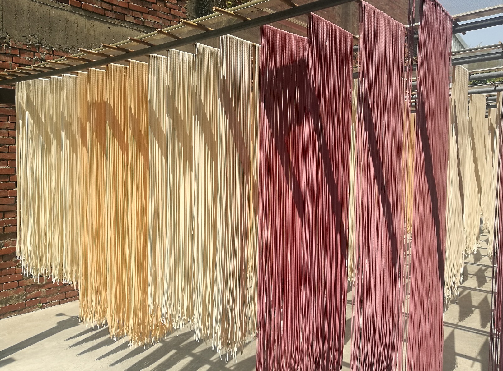 「何記日曬手工麵」的曬麵場五彩繽紛，十分搶眼。