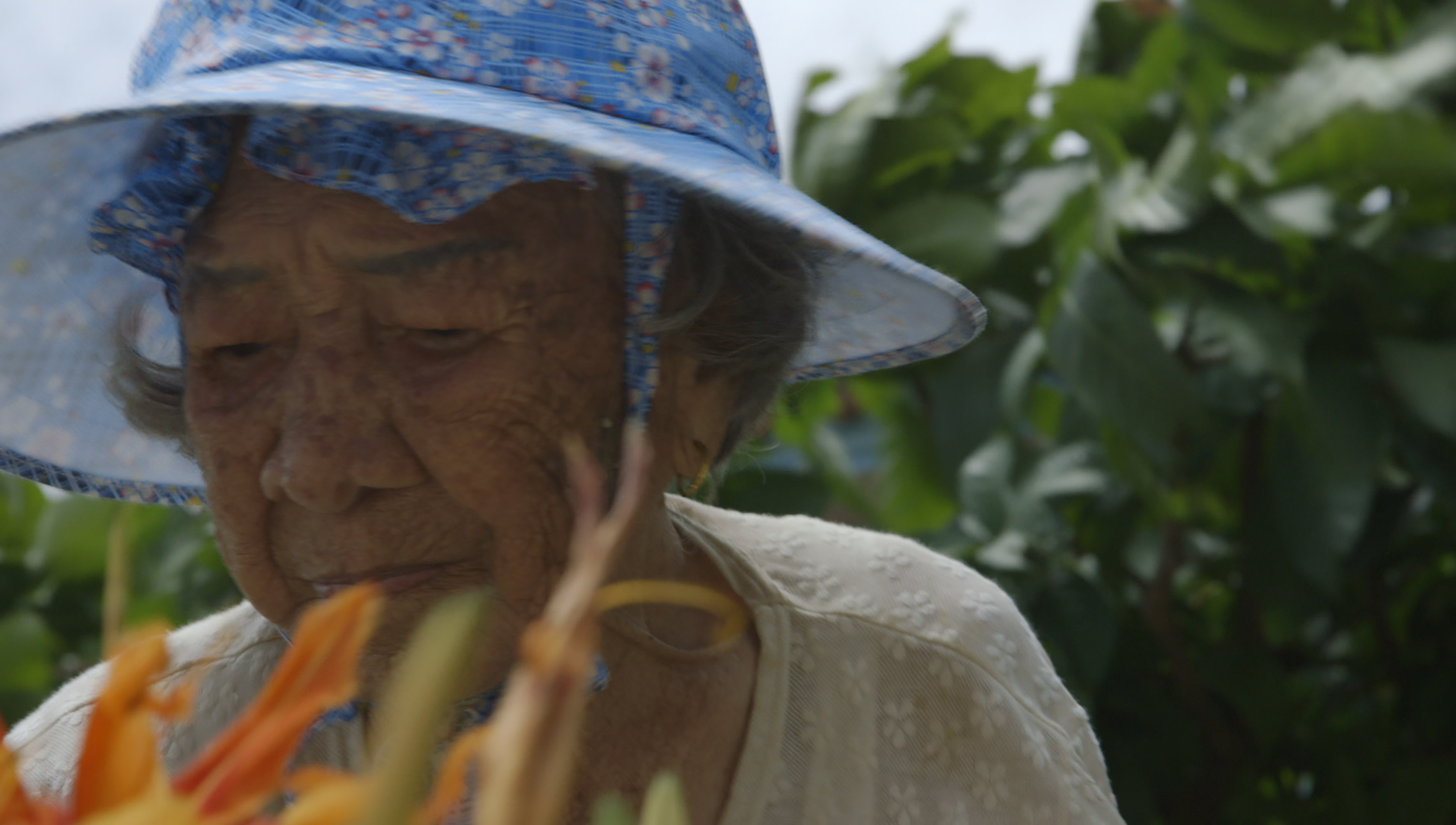 《綠色牢籠》超過90歲,當年出生在新北市三芝的橋間良⼦,被收為童養媳才來到了沖繩西表島。(希望行銷提供)