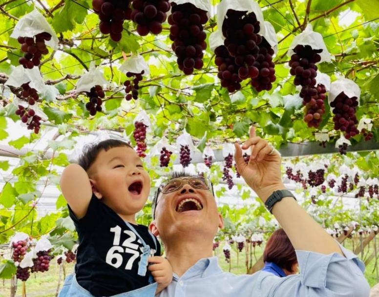 彰化埔心鄉長張乘瑜(圖)幫受影響的葡萄農喊冤,強調葡萄真的是無辜的。(翻攝自張乘瑜臉書)