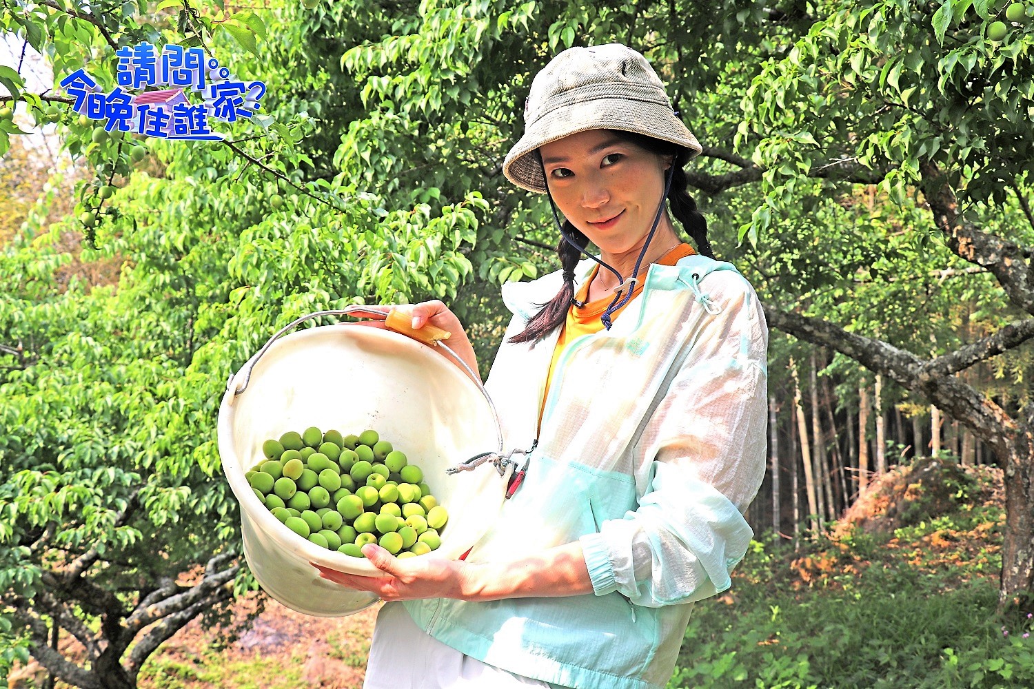 鍾瑶上《請問今晚住誰家》體驗採梅樂趣。（東森超視提供）