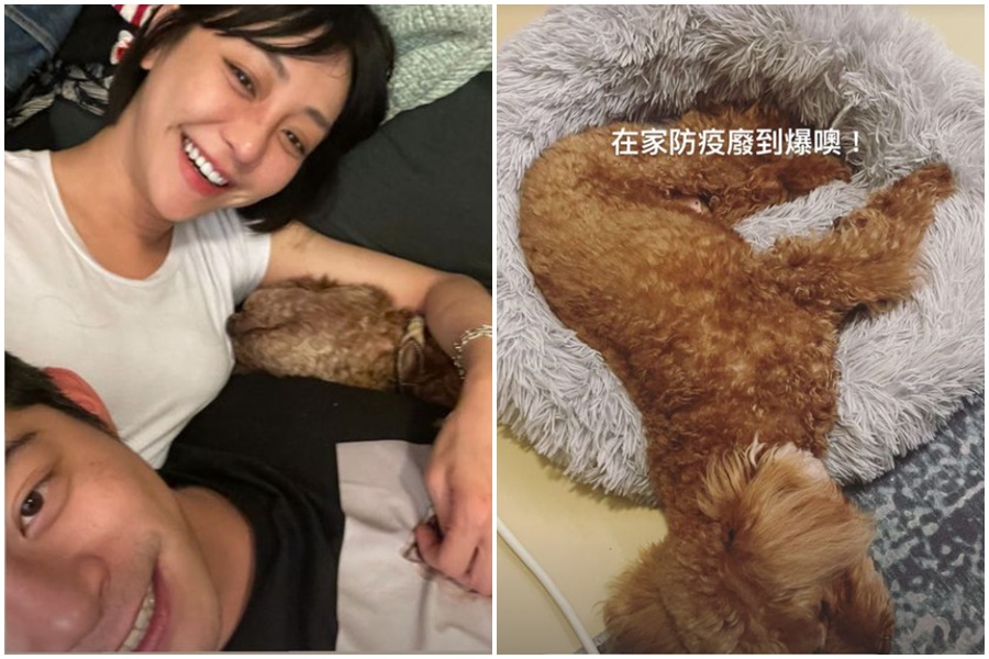 王柏傑、謝欣穎趁著防疫在家偷放閃。（翻攝自王柏傑、謝欣穎IG）