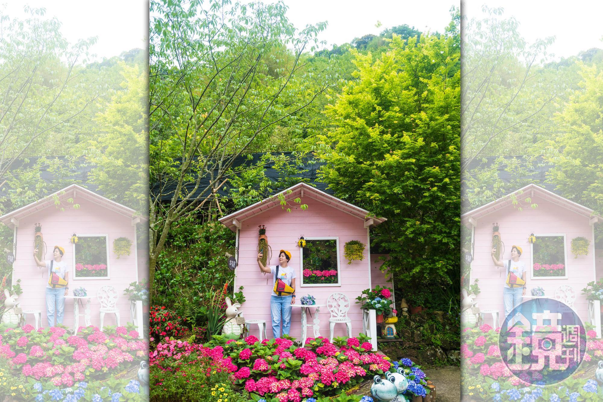 被網友譽為山林裡桃花源的「碧絡角」,園內有棟粉紅小木屋是最夯的打卡景點。