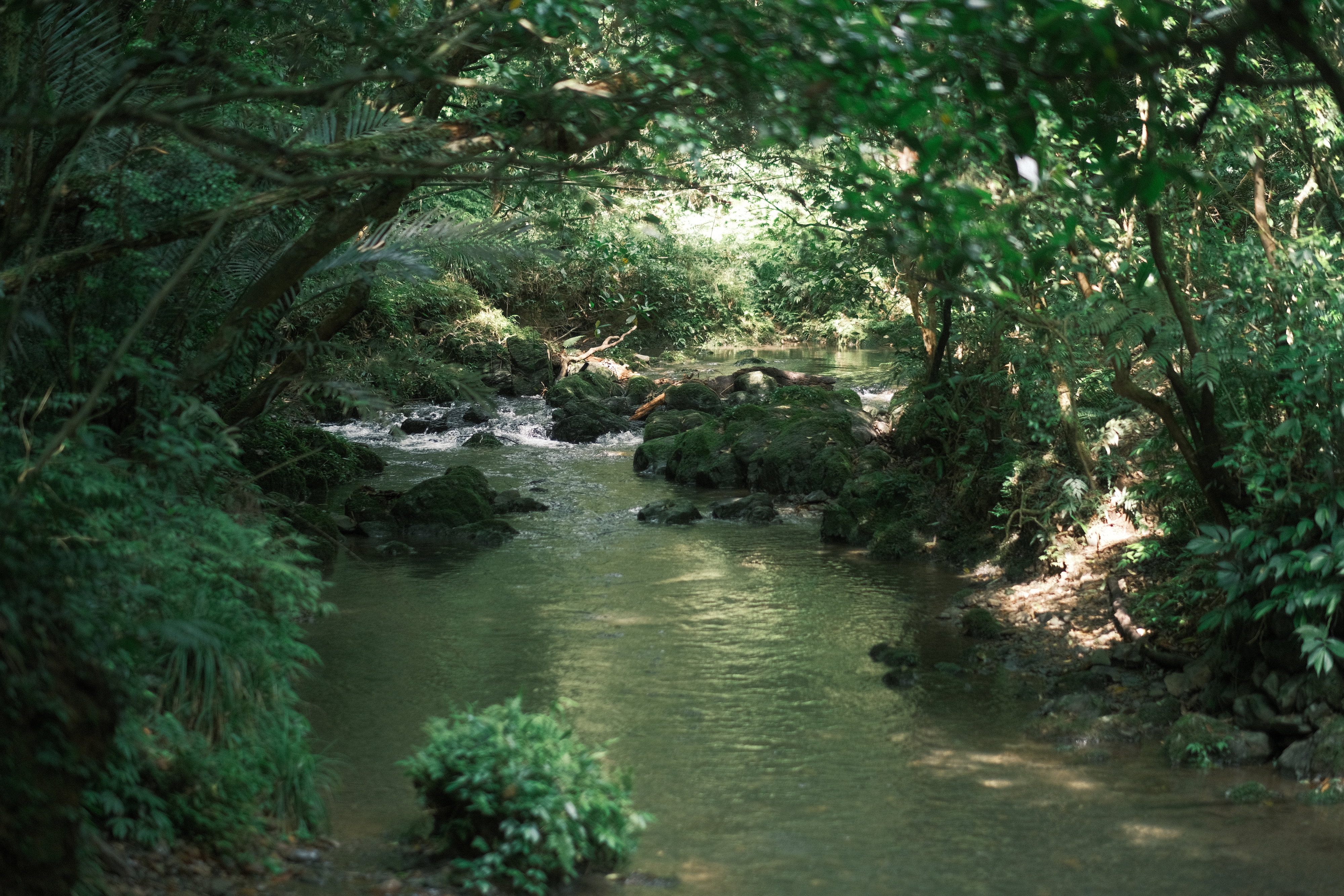 沿途溪流到處可見，清澈的水流聲在炎炎夏日消暑必備。