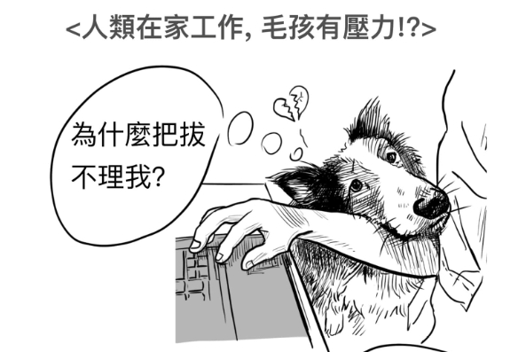 居家辦公可能會讓貓狗承受壓力，飼主要特別注意毛小孩們的精神和食欲。（獸醫老韓提供）