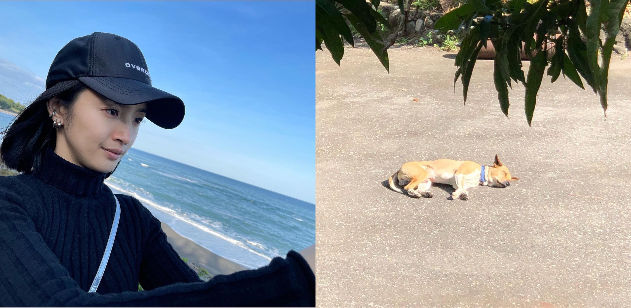 林依晨520的發文，當中充滿對世界與自然的愛。（翻攝自林依晨IG）