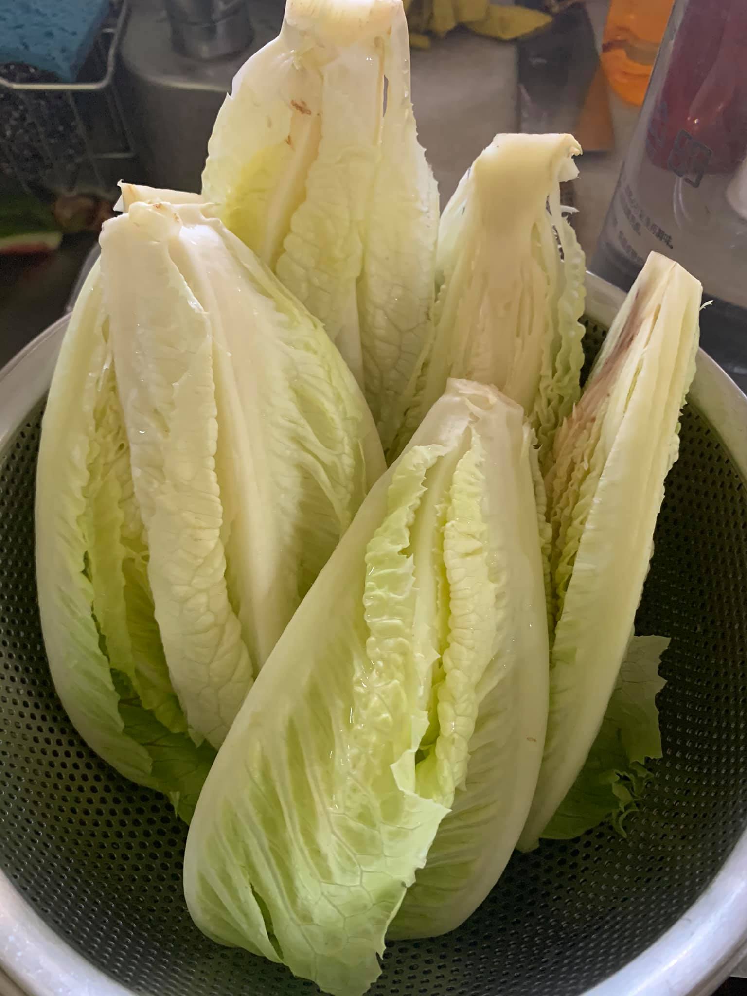 準備蘿蔓當配菜。