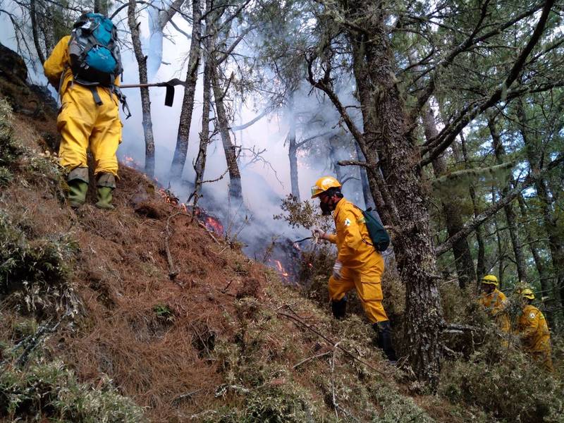 八通關杜鵑營地附近發生森林大火，火勢持續延燒至今。（嘉義林管處提供）