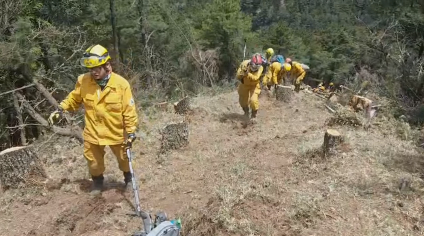 為防止玉山火勢蔓延,森管員身著重裝,努力開闢防火線。(翻攝自林務局-森活情報站臉書)