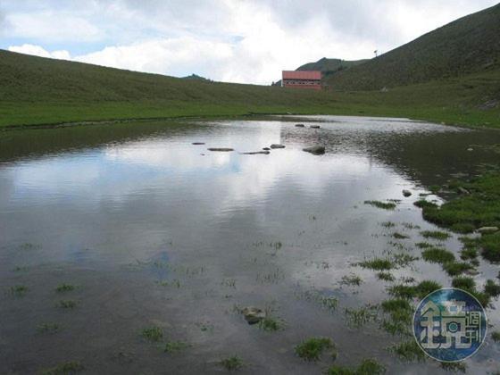 海拔超過三千公尺的大水窟風景秀麗,晚上常有成群水鹿來此喝水嬉戲。