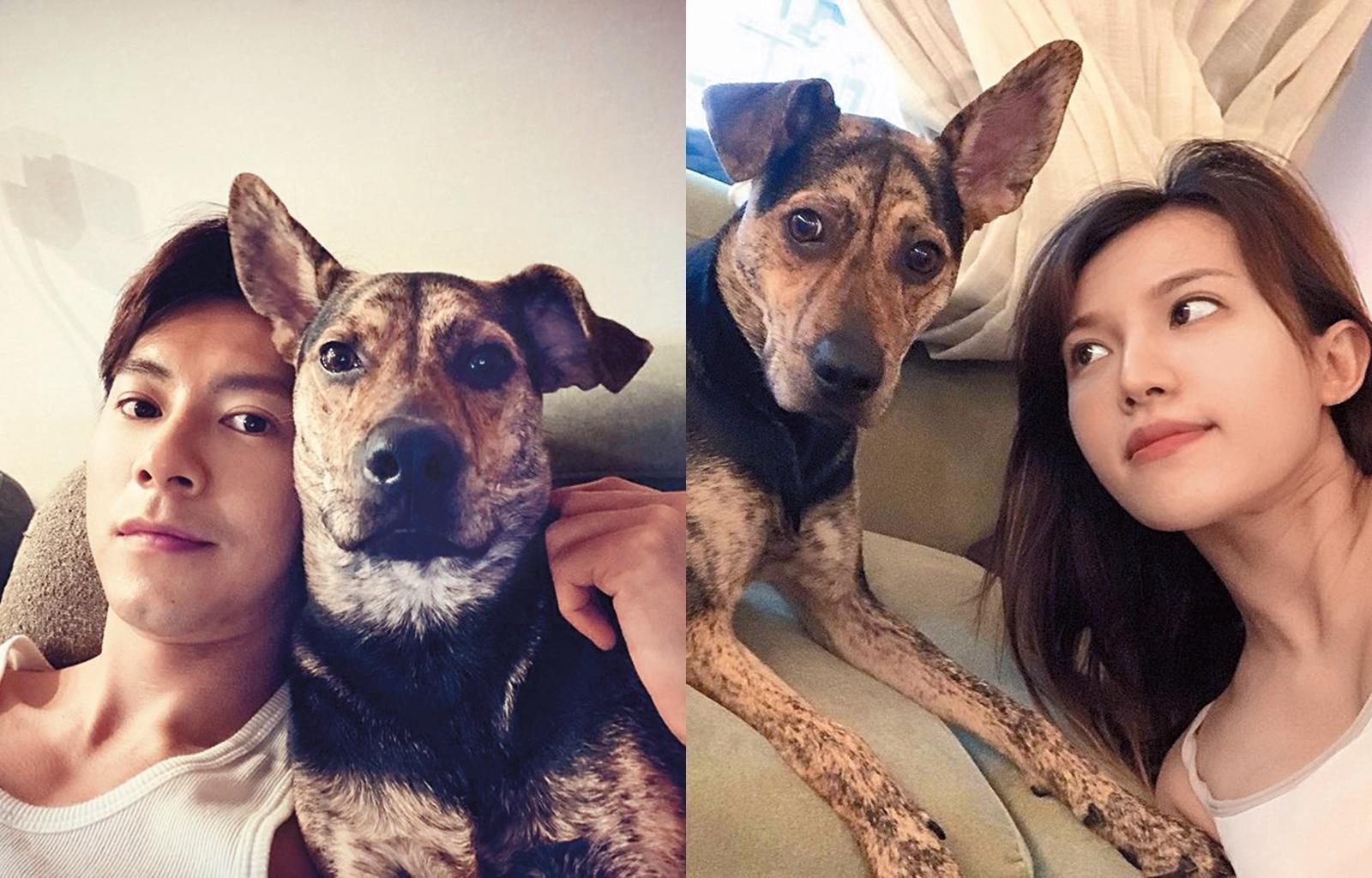還沒公開婚事前,李國毅與甘煖琳只能分別與愛犬合照,再各自po網路。(翻攝自李國毅 甘煖琳 IG)
