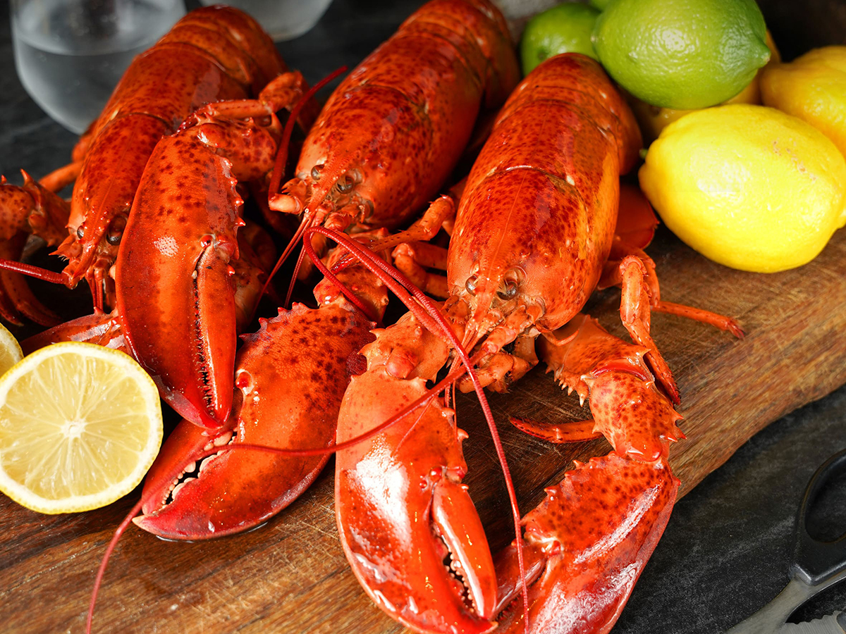 台北君品的「雲軒西餐廳」推出鎮店美食「水煮加拿大活龍蝦」，現在也可以上「雲朗選物」網站訂購。（雲朗觀光提供）