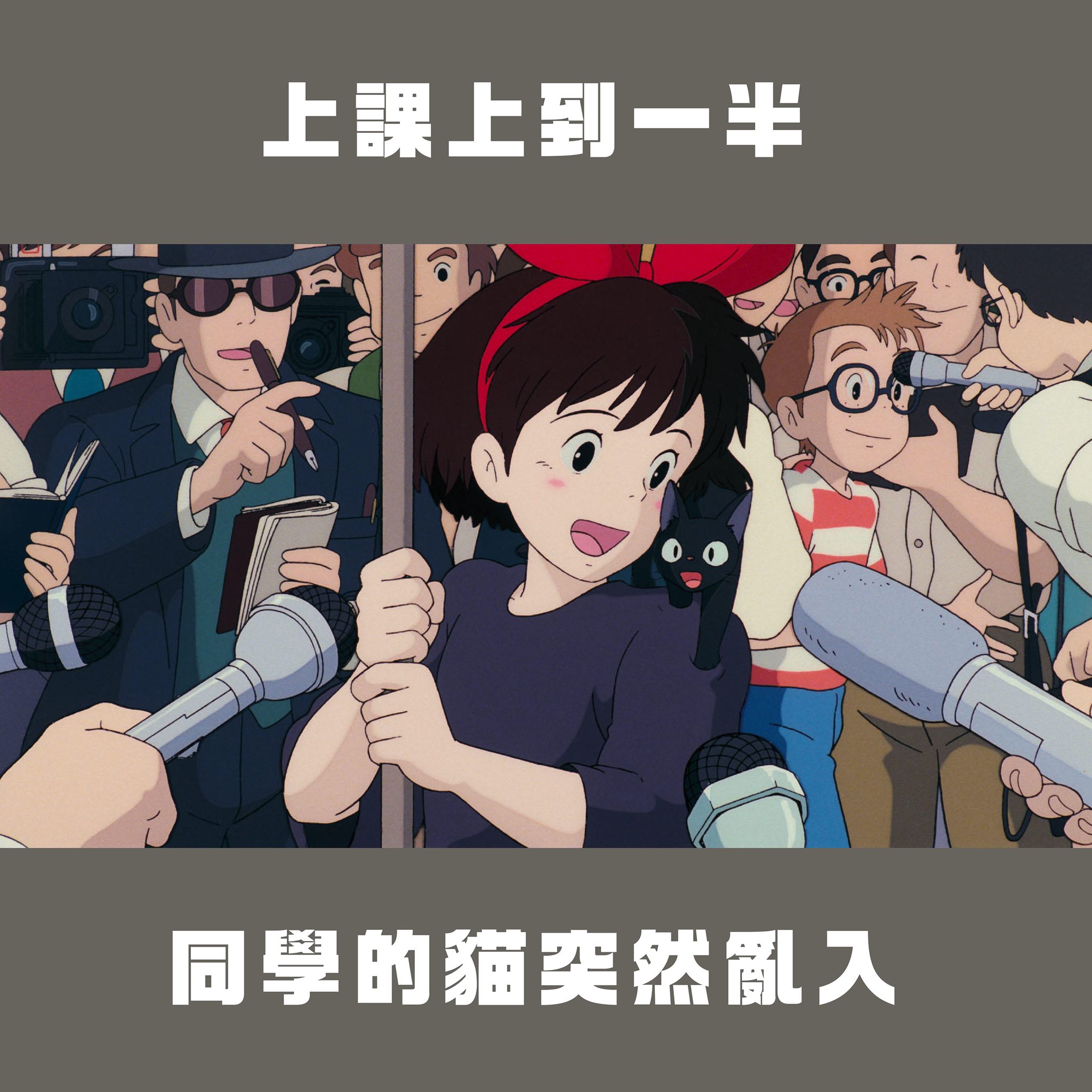 不只阿嬤亂入，貓貓也會亂入。（翻攝自台灣青年民主協會臉書）