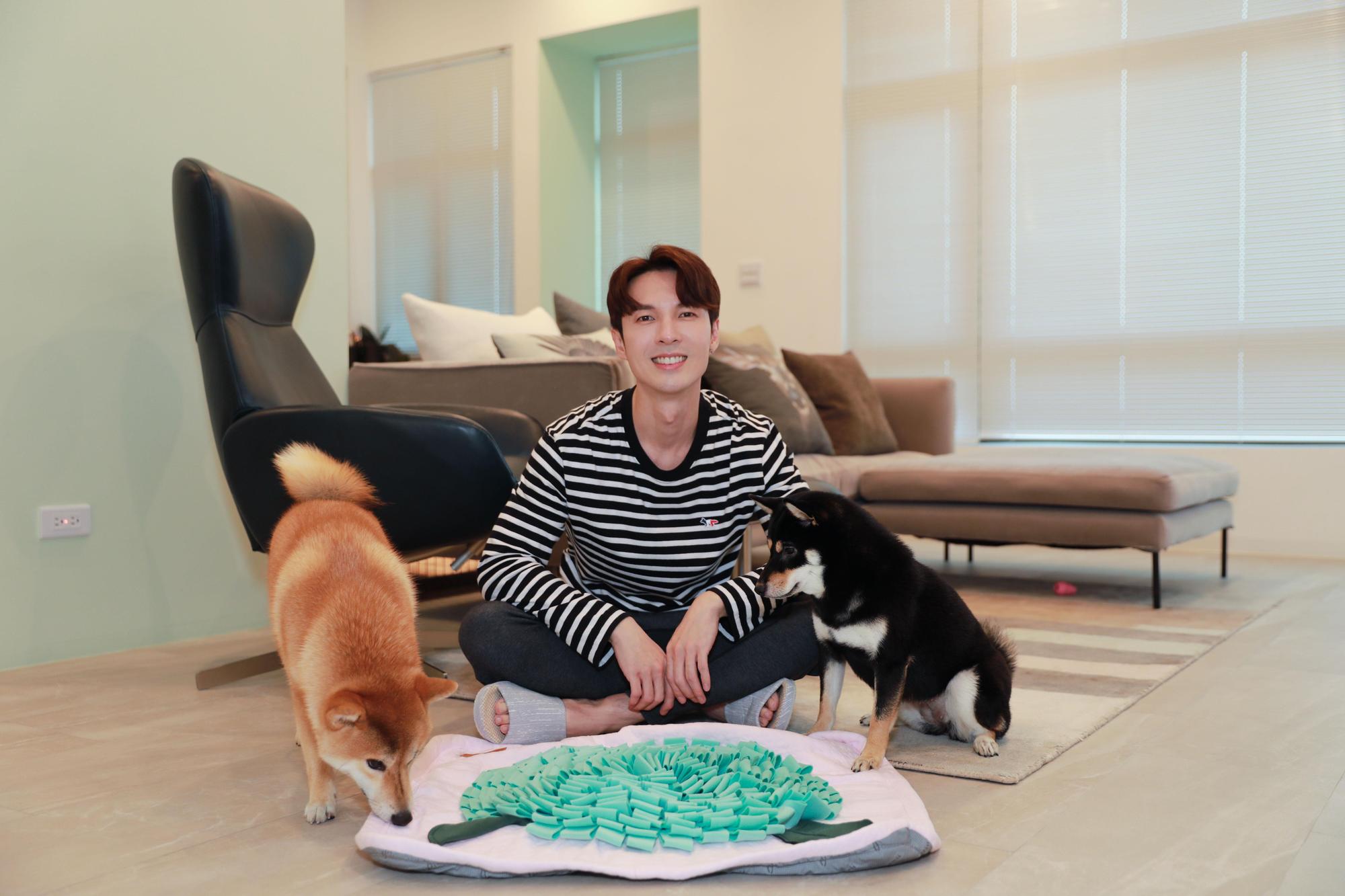 陳勢安運用「嗅聞墊」將愛犬愛吃的零食藏起來,讓牠們在家中玩尋寶遊戲。