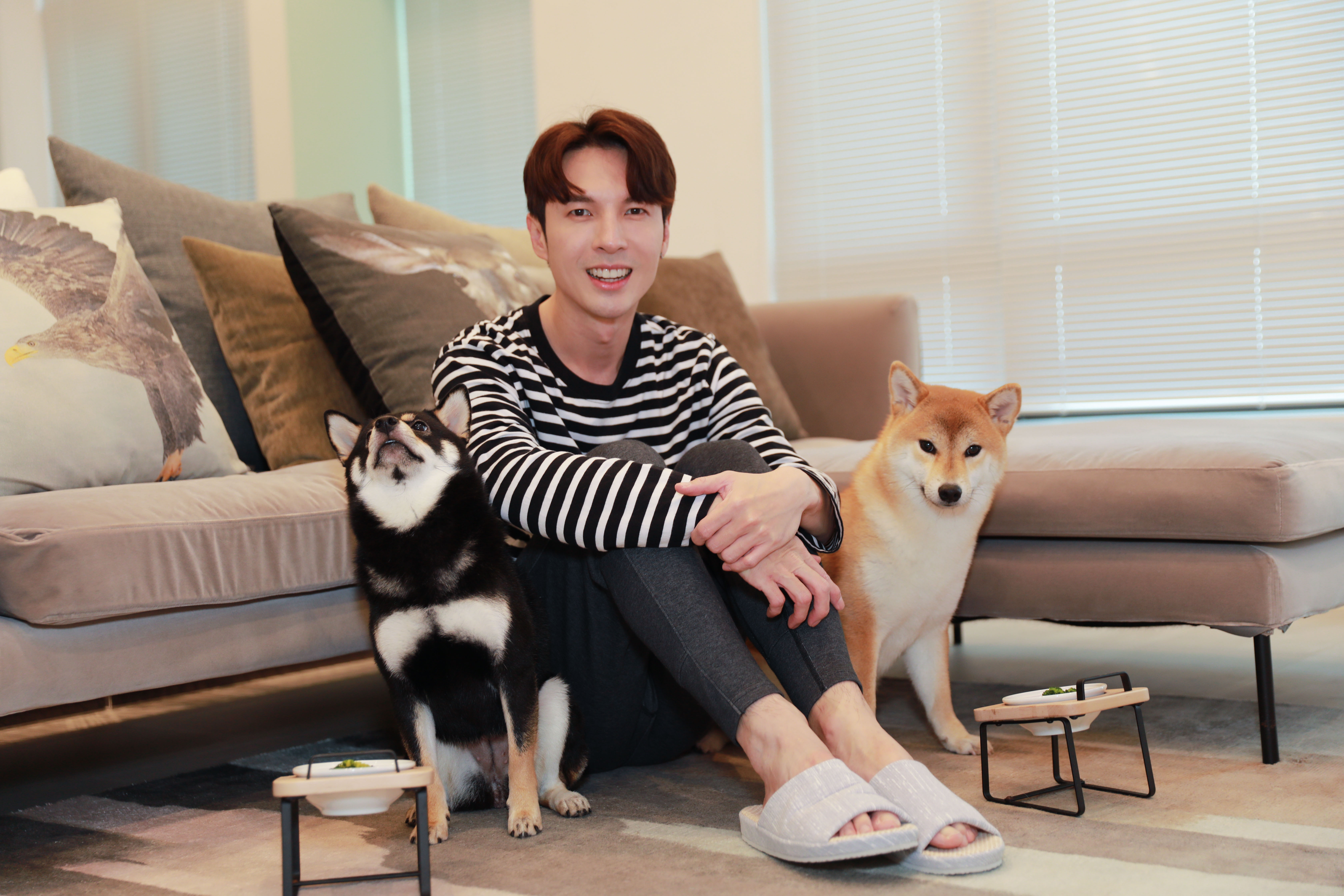 陳勢安發行新專輯《唯一想了解的人》卻遇疫情升溫，只好宅在家陪兩隻愛犬玩樂。