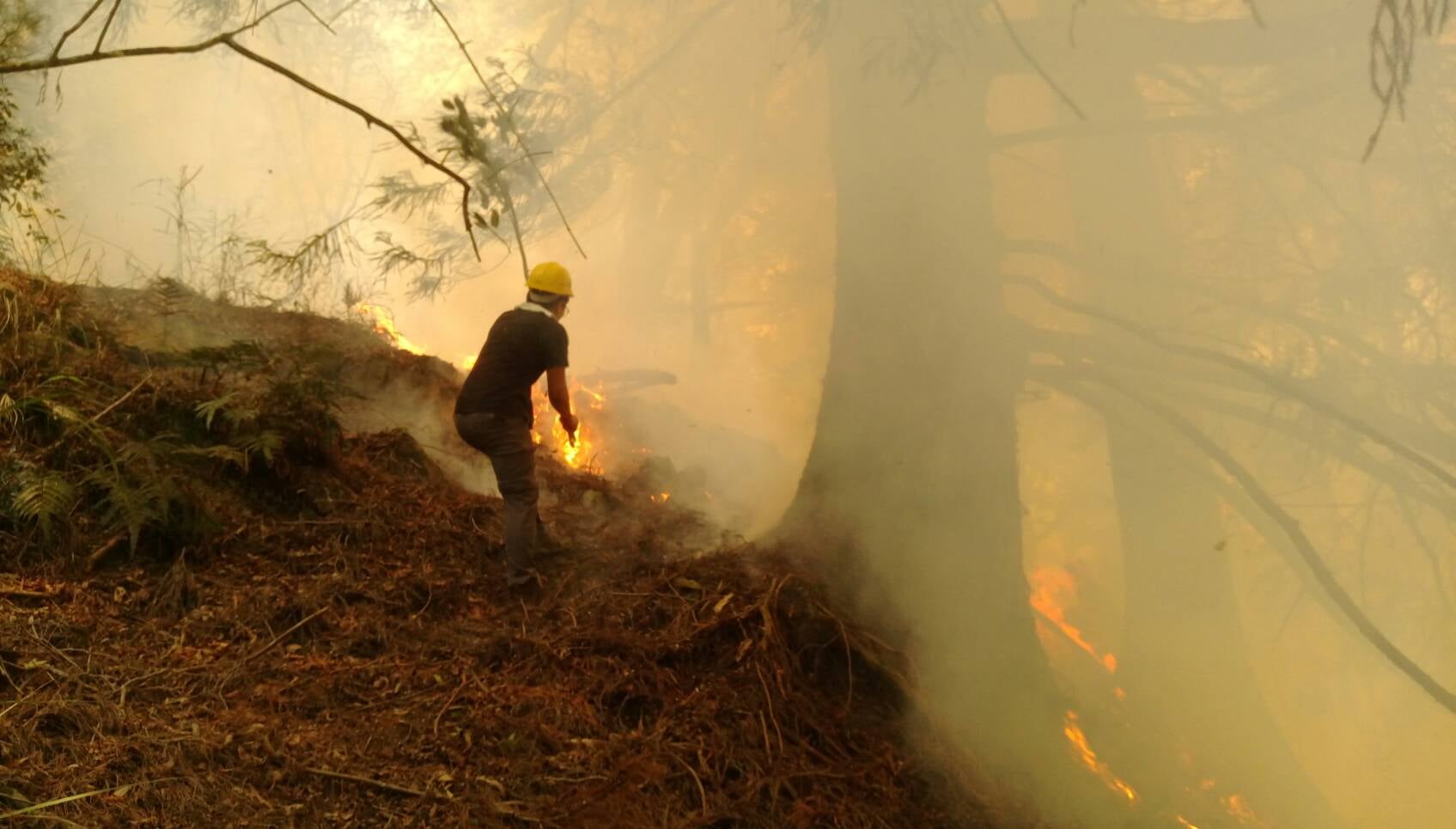 台中馬崙山步道的森林大火延燒超過7天，森管員終於成功控制住火勢。（翻攝自林務局東勢林區管理處臉書）