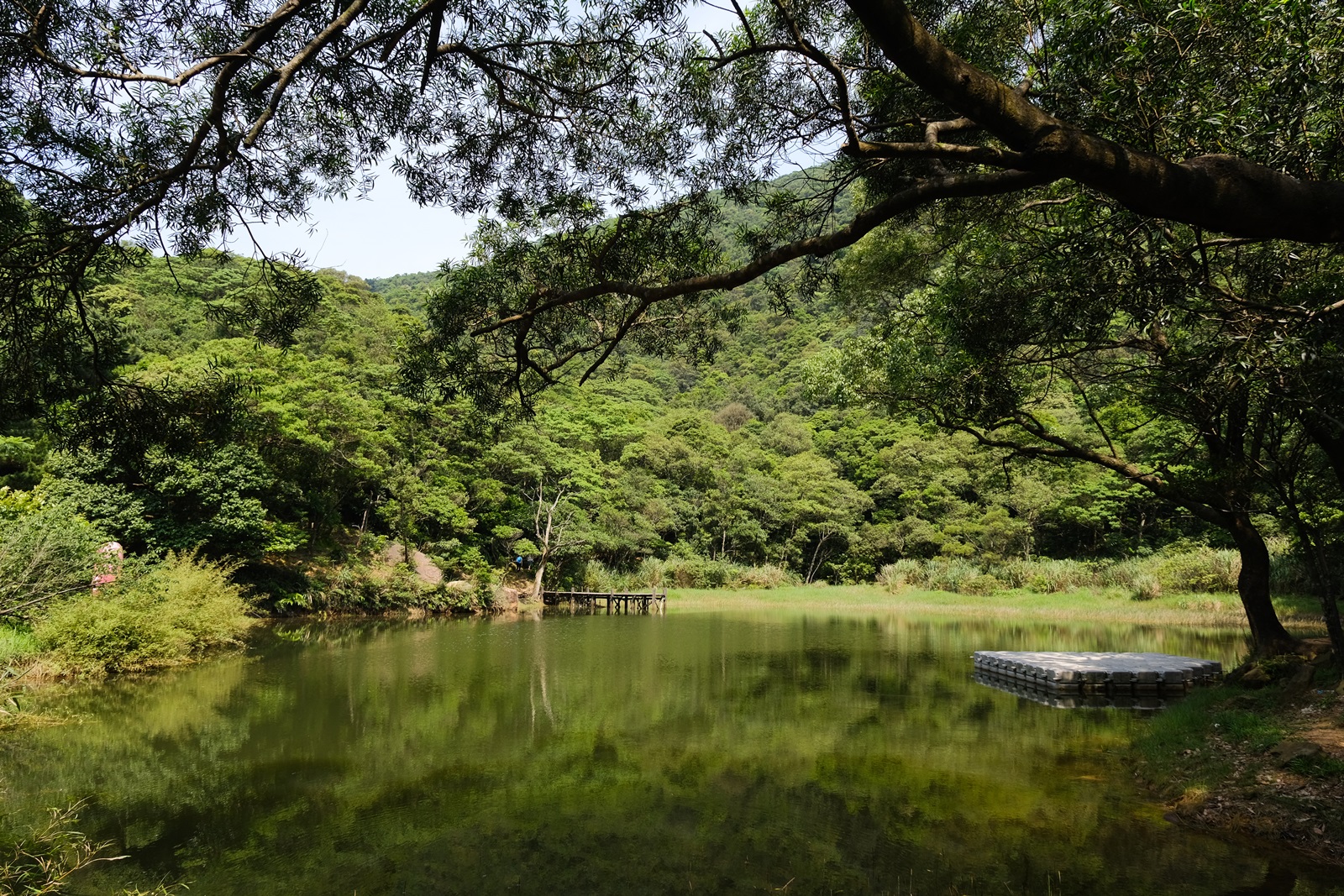 夢湖自帶仙氣，在雲霧飄渺時意境更美。