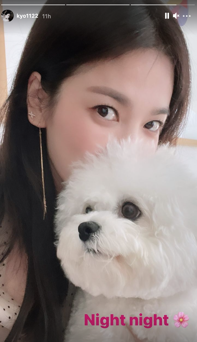 宋慧喬經常抱著愛犬更新IG,讓粉絲超羨慕,喊好想變成她的愛寵。(翻攝宋慧喬IG)