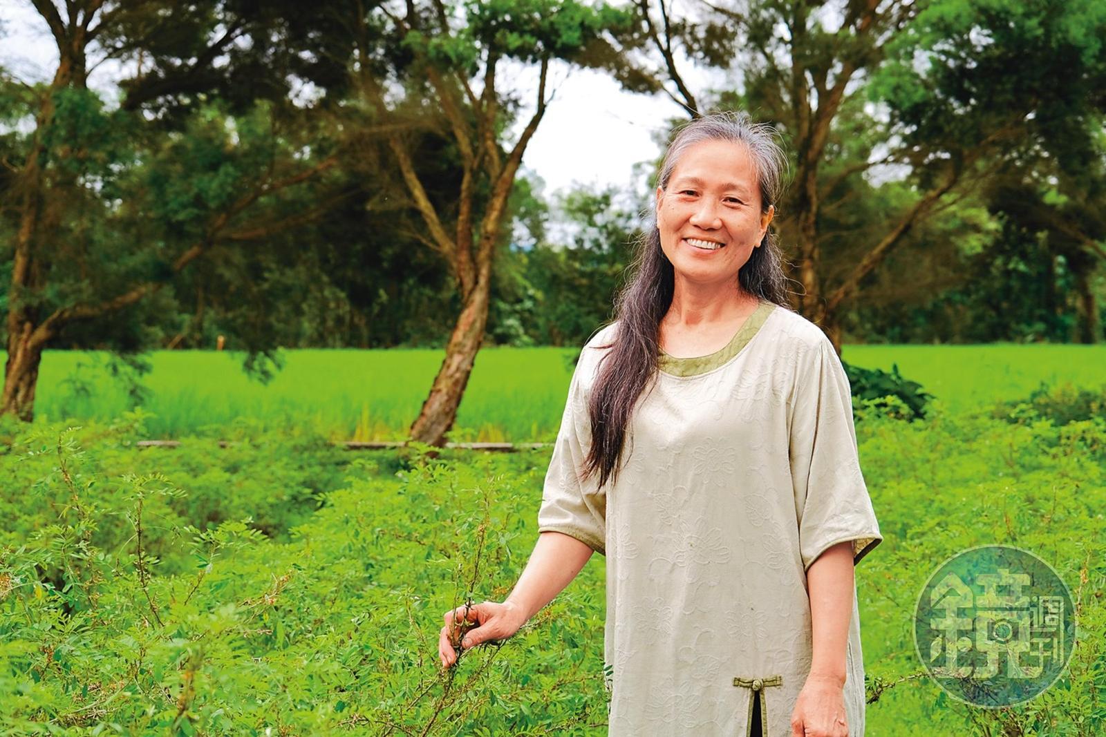 工藝師羅枝新回到媽媽的故鄉鳳林生活，開啟藍染生涯。