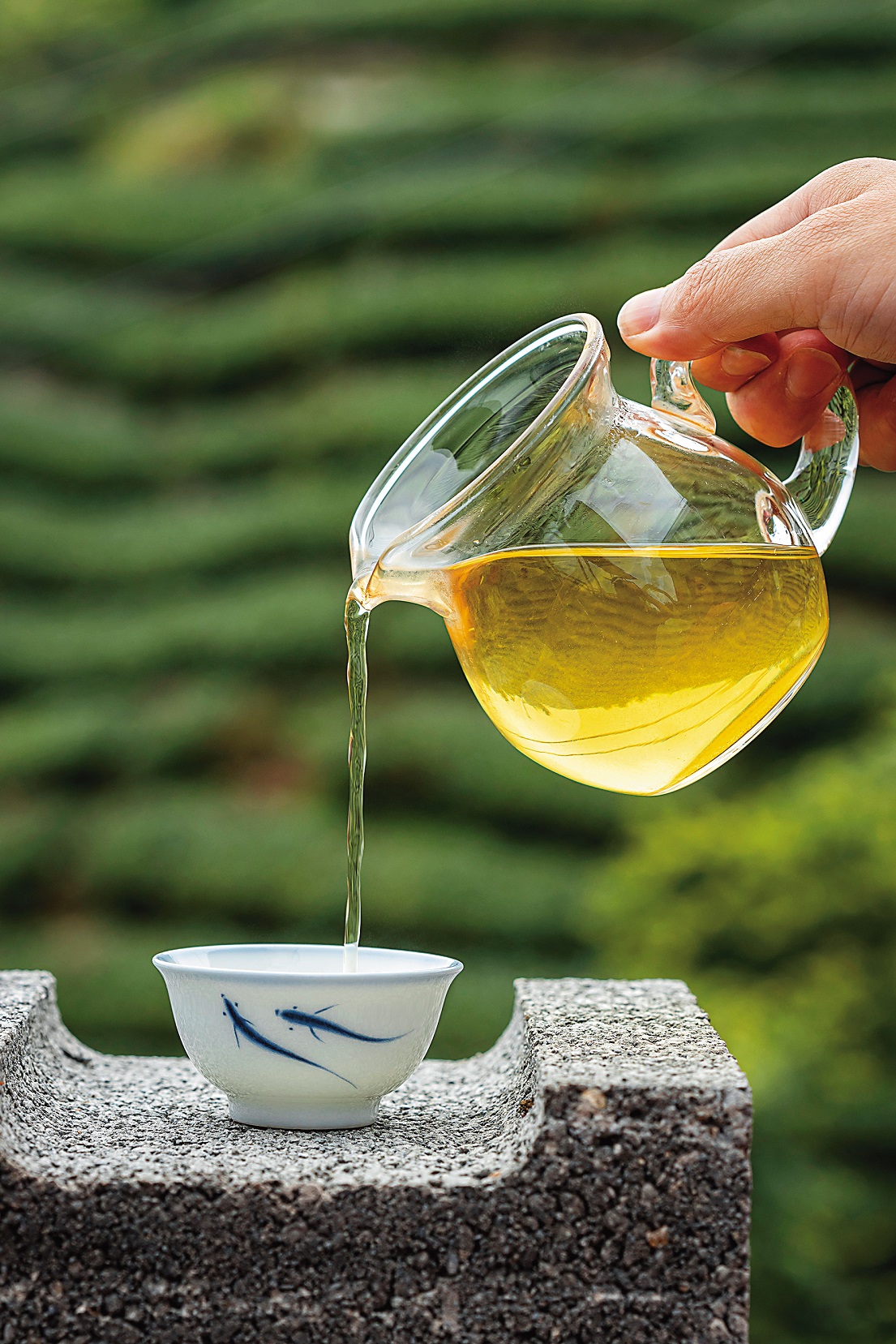 現泡一壺茶農自家烏龍茶，洋溢自然香氣、順口回甘。（300元／份）