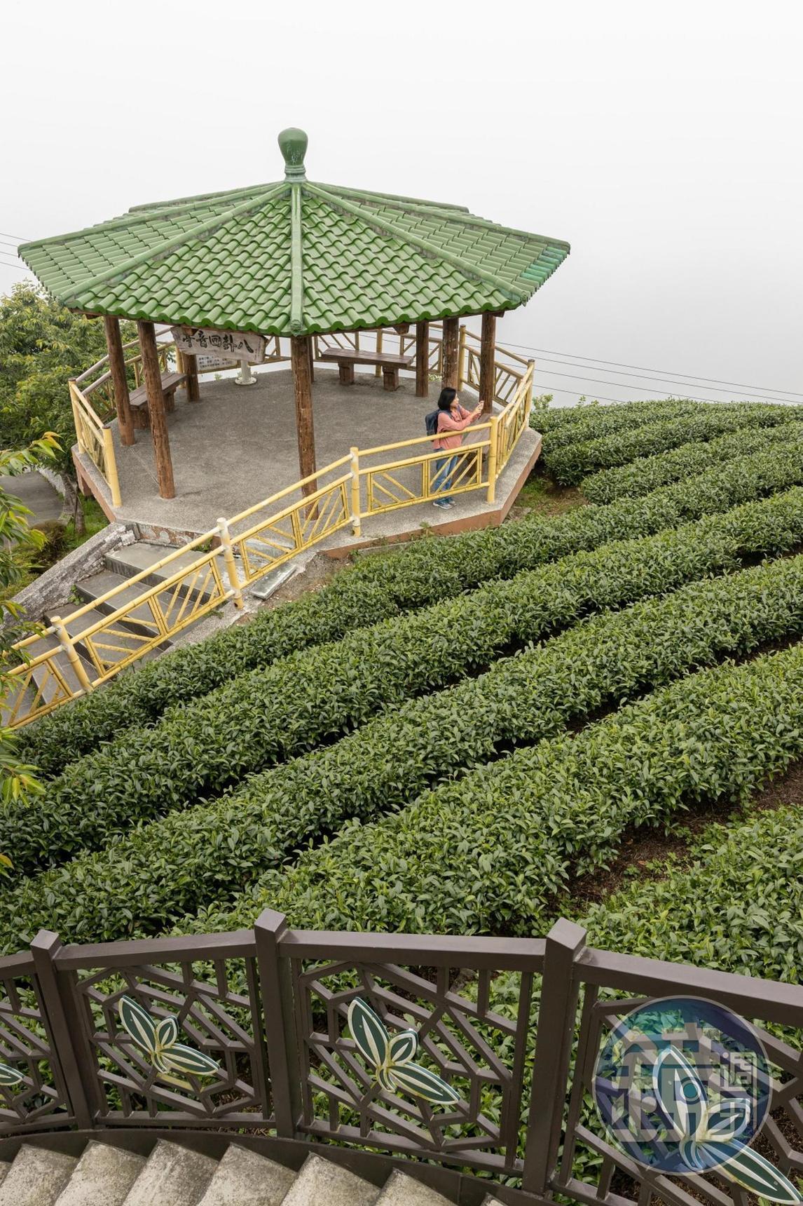 軟鞍茶區規劃有多條步道及休憩涼亭。