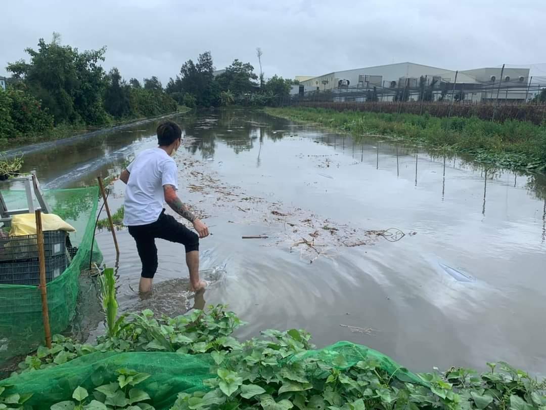 一名彰化務農的網友感嘆,一夕之間農田變汪洋。(翻攝自爆料公社)