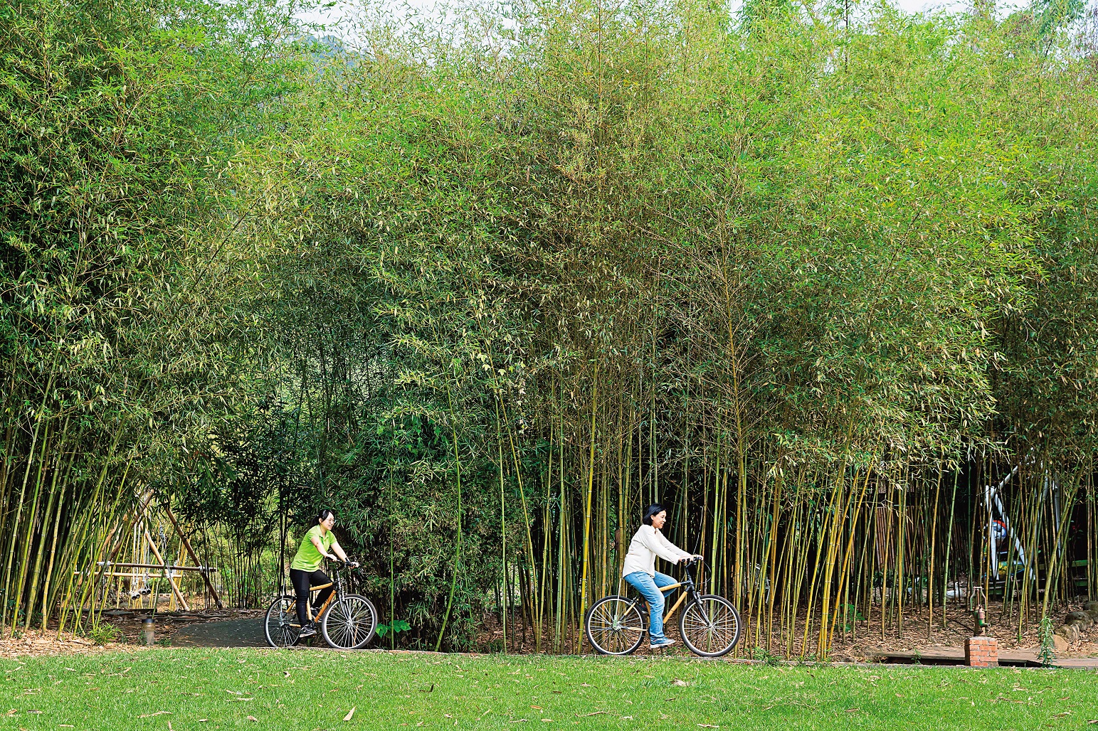 騎乘館內提供的手製竹子自行車，到戶外自在悠遊。