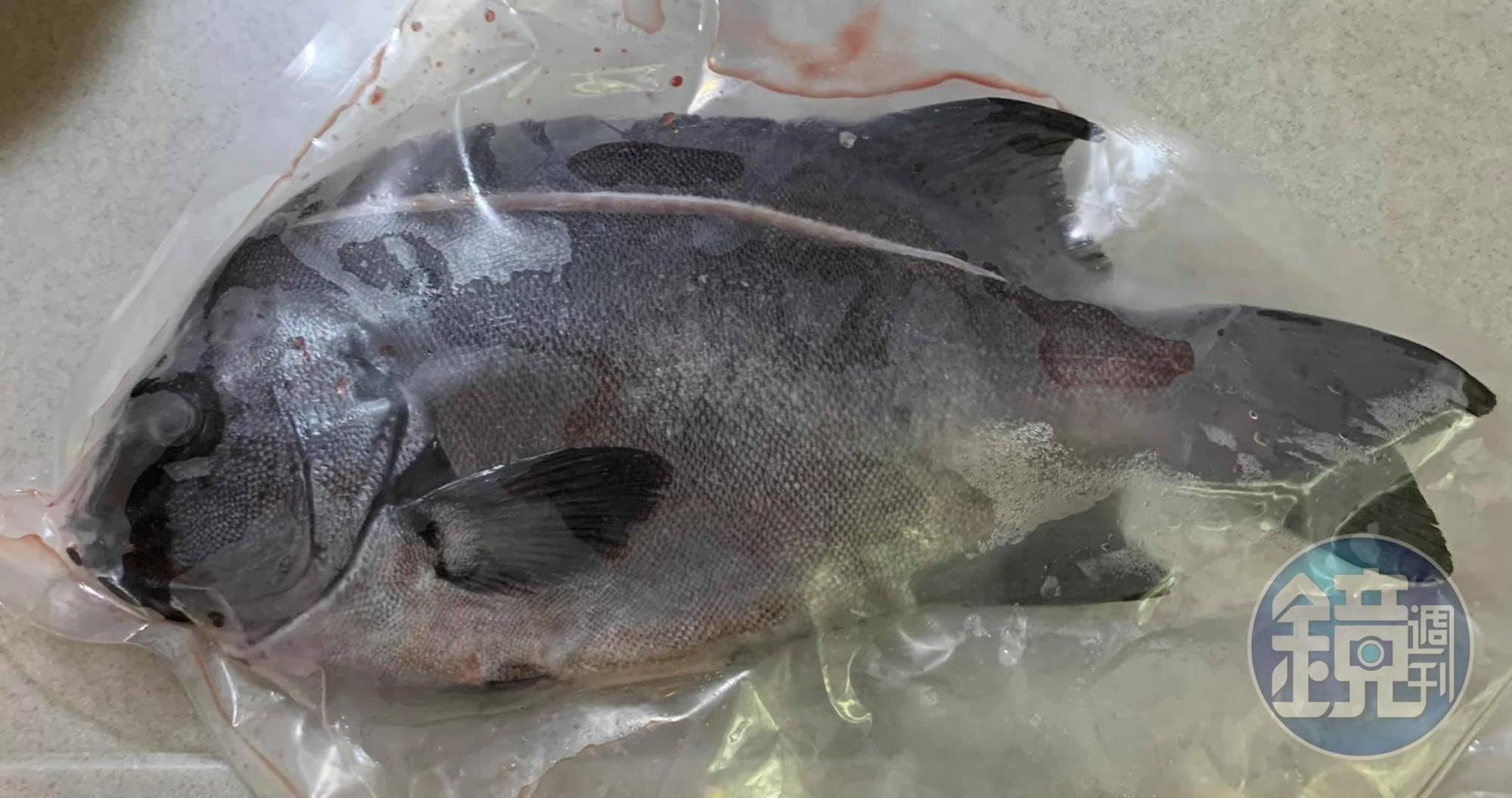 今天難得拿到通常供應給高級餐廳的石鯛魚,重約1斤辦。