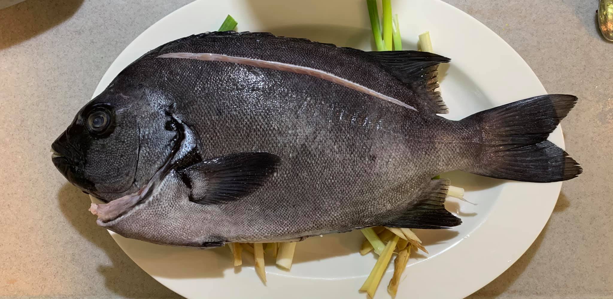 將魚放在蒸盤上。