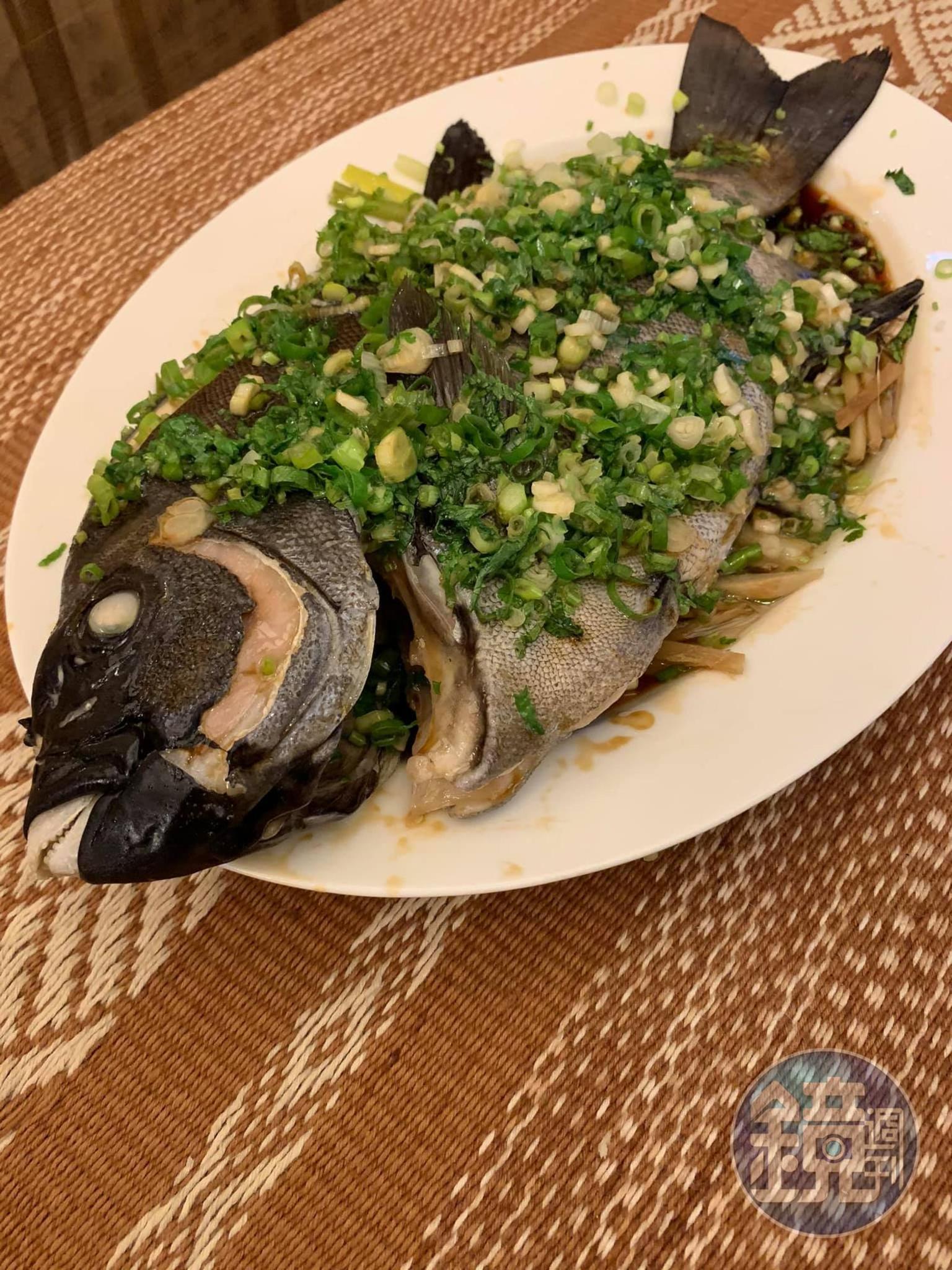 清蒸石鯛魚上桌,您看那尖銳的魚嘴,專吃海膽。