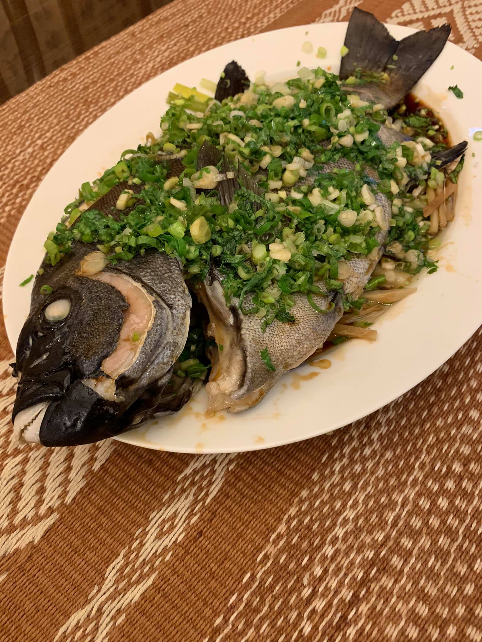 清蒸石鯛魚上桌，您看那尖銳的魚嘴，專吃海膽。
