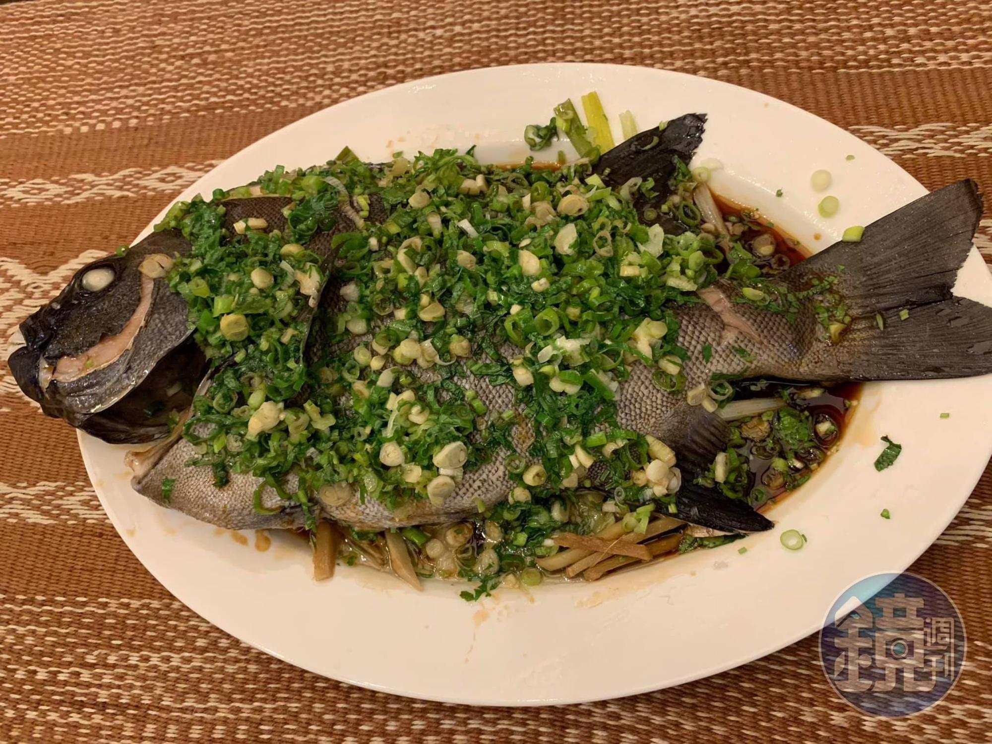 清蒸石鯛魚,鮮美甘甜,宴客上選。