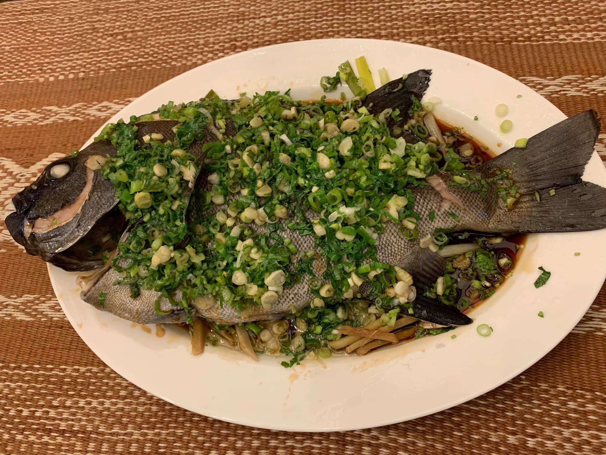 清蒸石鯛魚，鮮美甘甜，宴客上選。