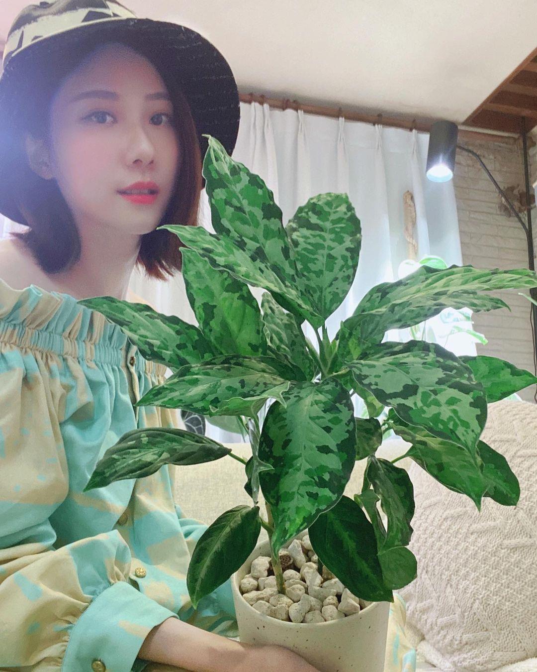 張景嵐迷上植栽，在家中養了花花草草，當她在線上時裝秀展示珍貴的斑葉龜背芋與迷彩粗樂草時，引起一片讚揚。（翻攝自張景嵐IG）