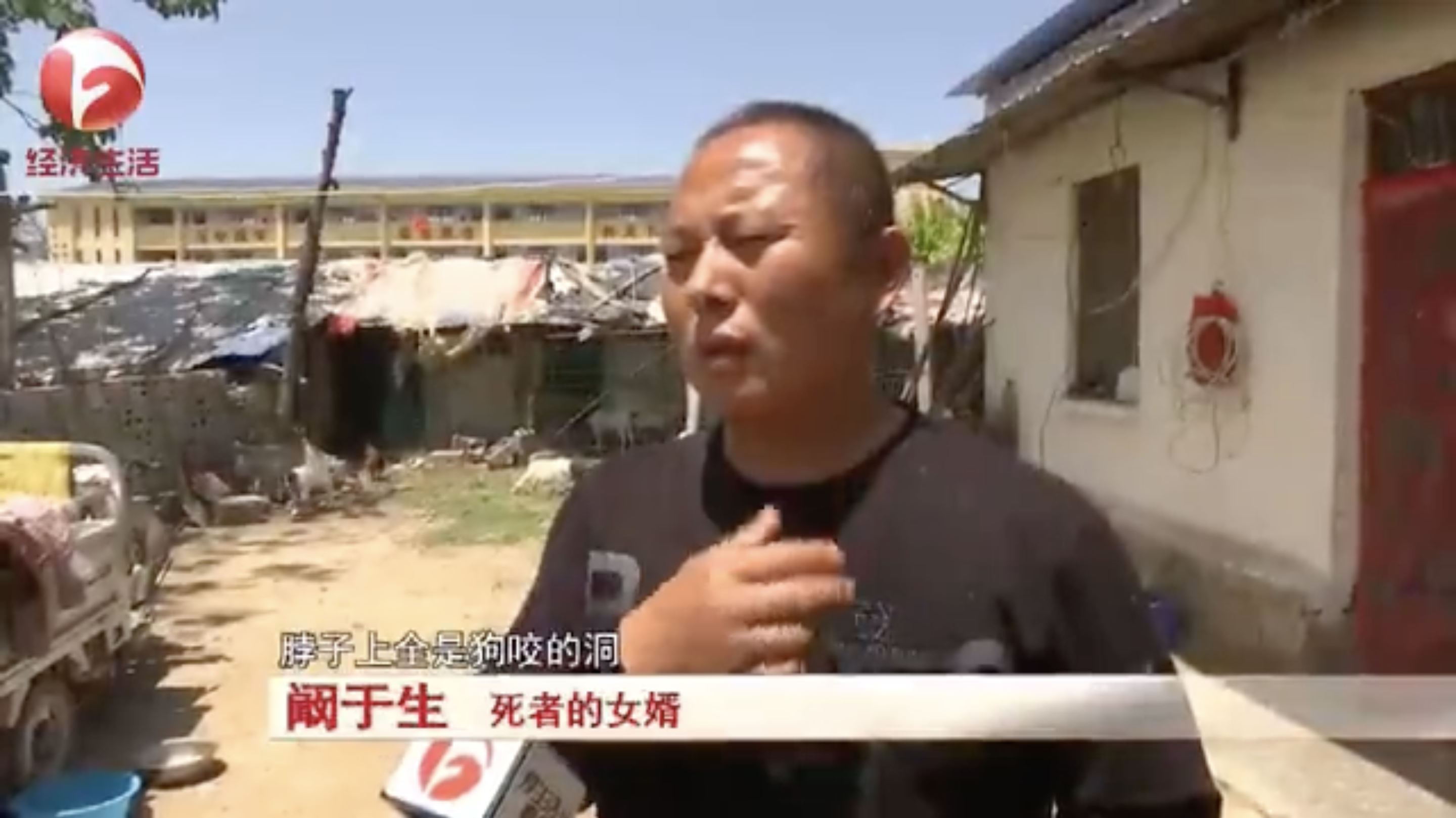 死者的女婿表示岳母身上多處被咬傷。(翻攝自微博)