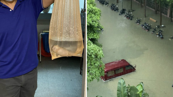 網友表示同事去救機車，隨手一撈撈到魚。（翻攝自PTT）