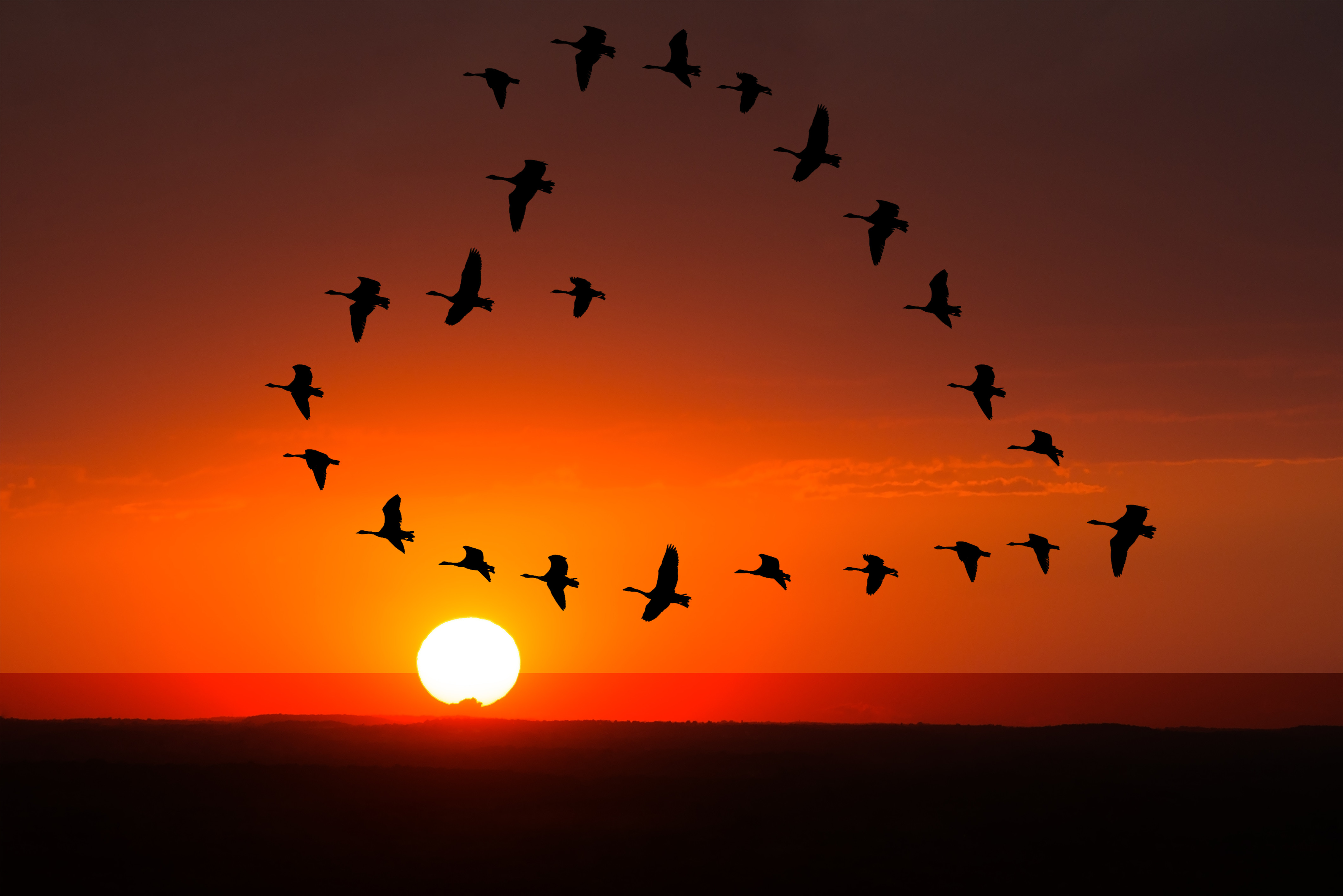 【詩】萬有　楊智傑