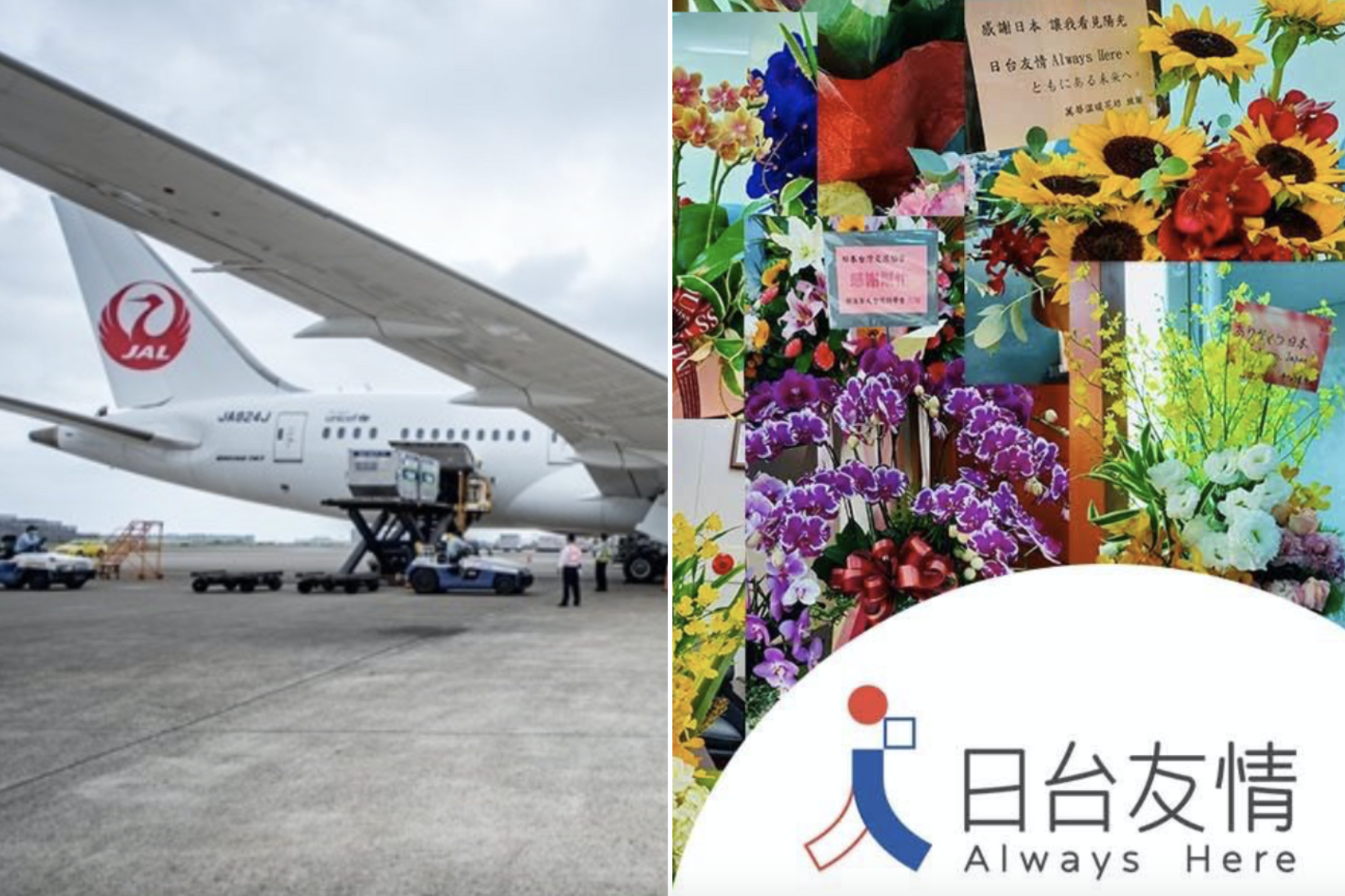 日台交流協會昨再貼出各界致謝花籃，表示「大家的心意都收到了，萬分感激」。（翻攝日台交流協會）