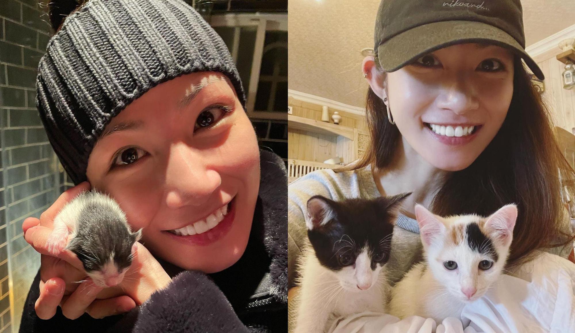 李千那初識李千拖時，她還只有一咪咪。而同胎的三花也是超可愛。（翻攝自李千那IG）