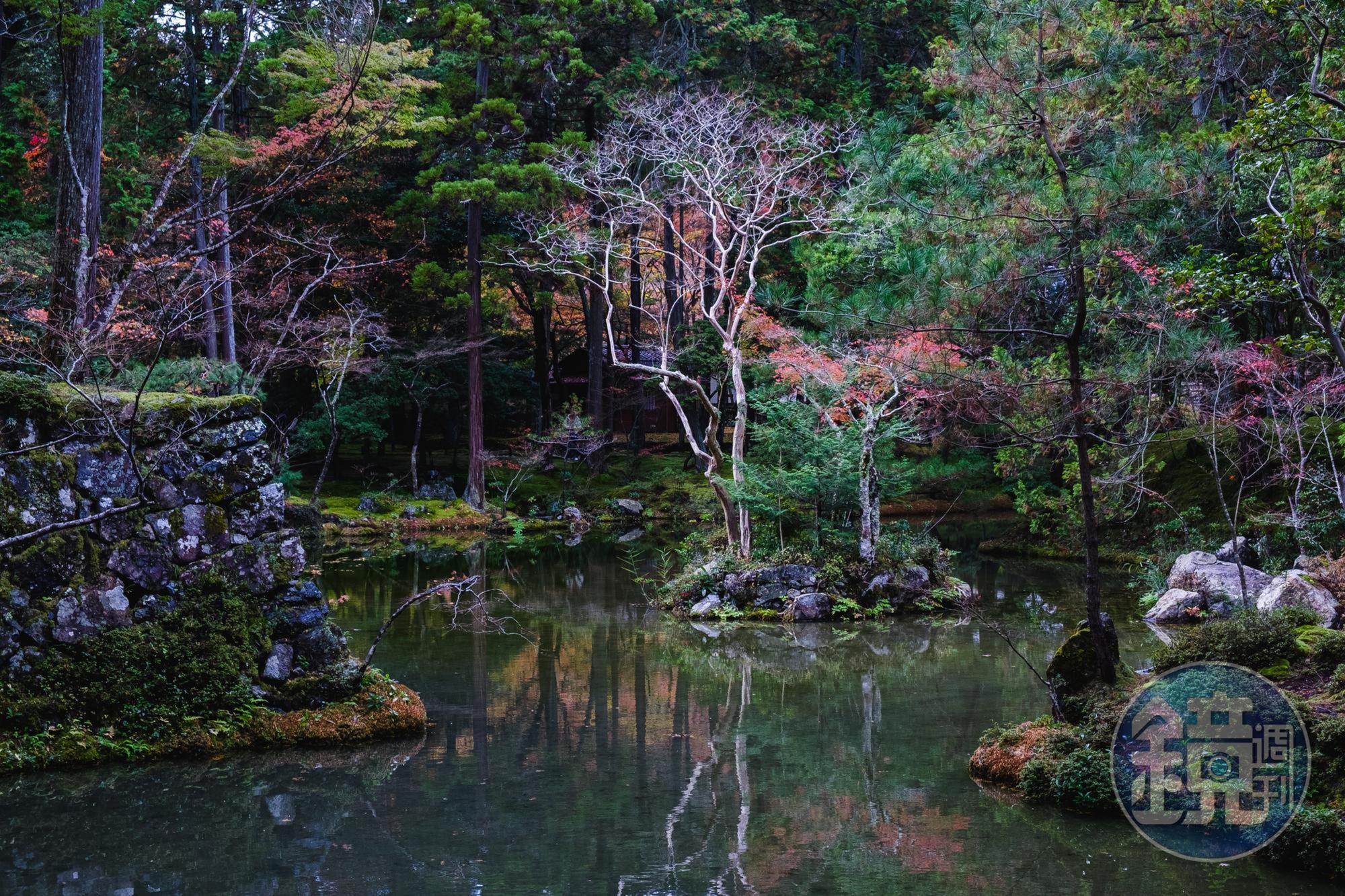 湖中佇立的枯枝有種獨特的日本美感:物哀、幽玄、侘寂。