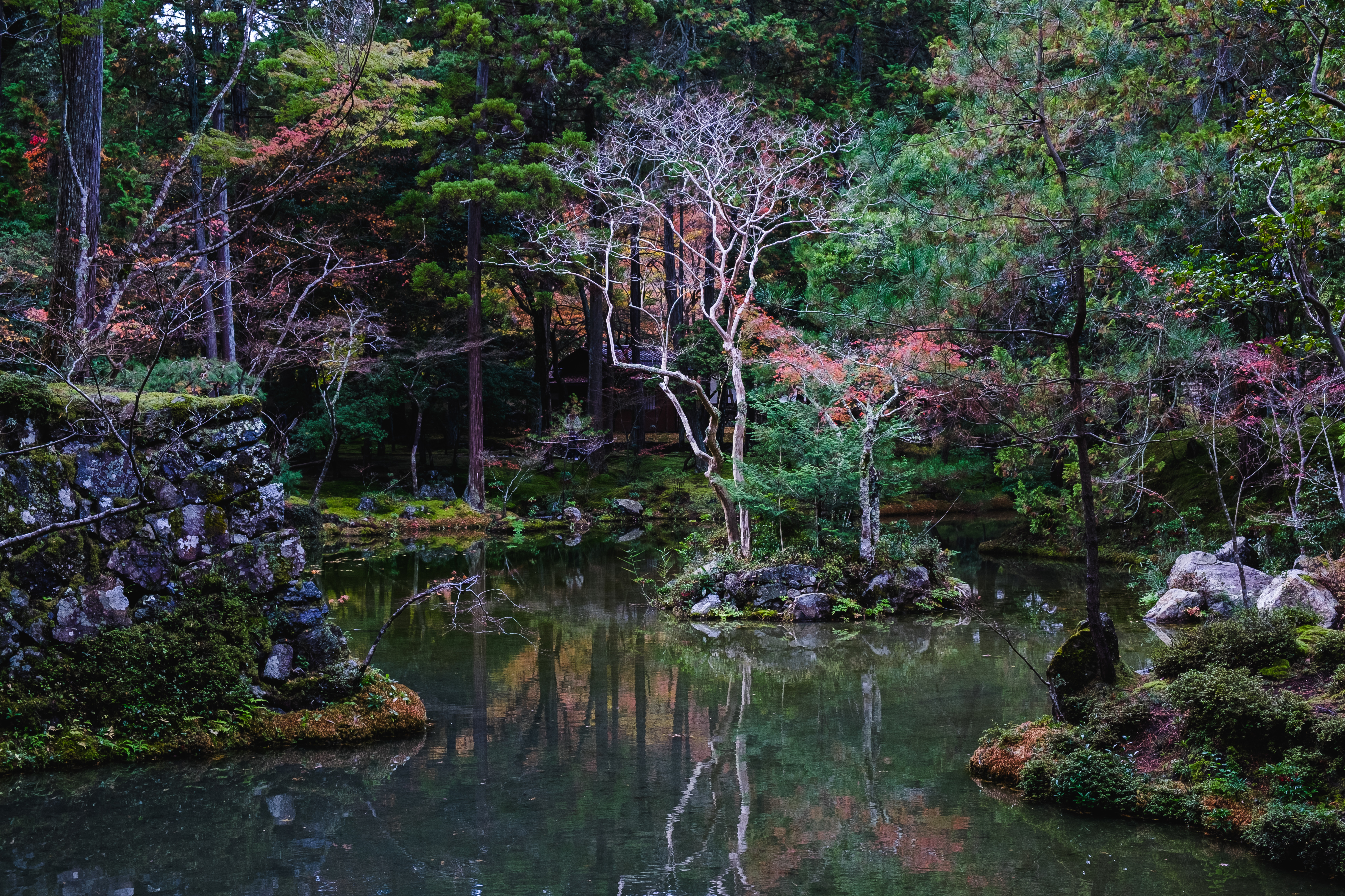 湖中佇立的枯枝有種獨特的日本美感：物哀、幽玄、侘寂。