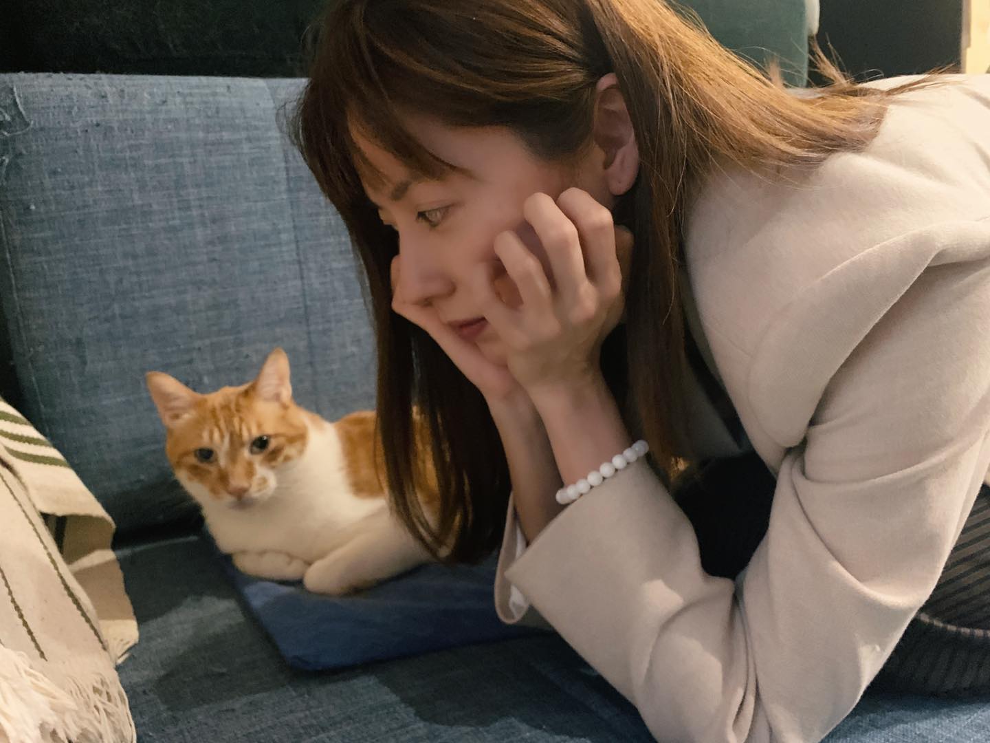 林予晞疫情宅在家停工，種起了貓草伺候貓咪。（TVBS提供）