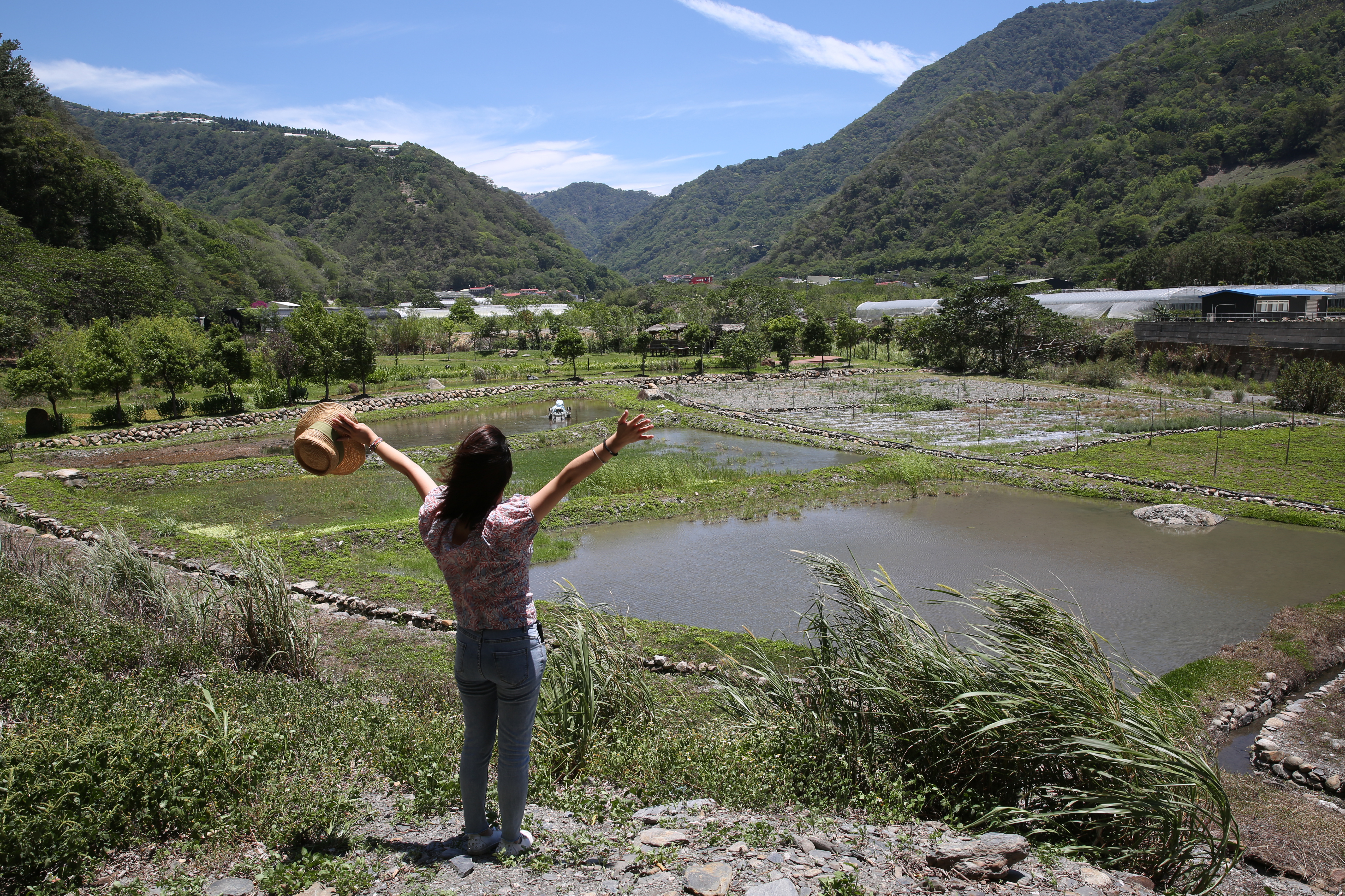 一抵達南豐村，就能見到廣大幽靜的生態池。 