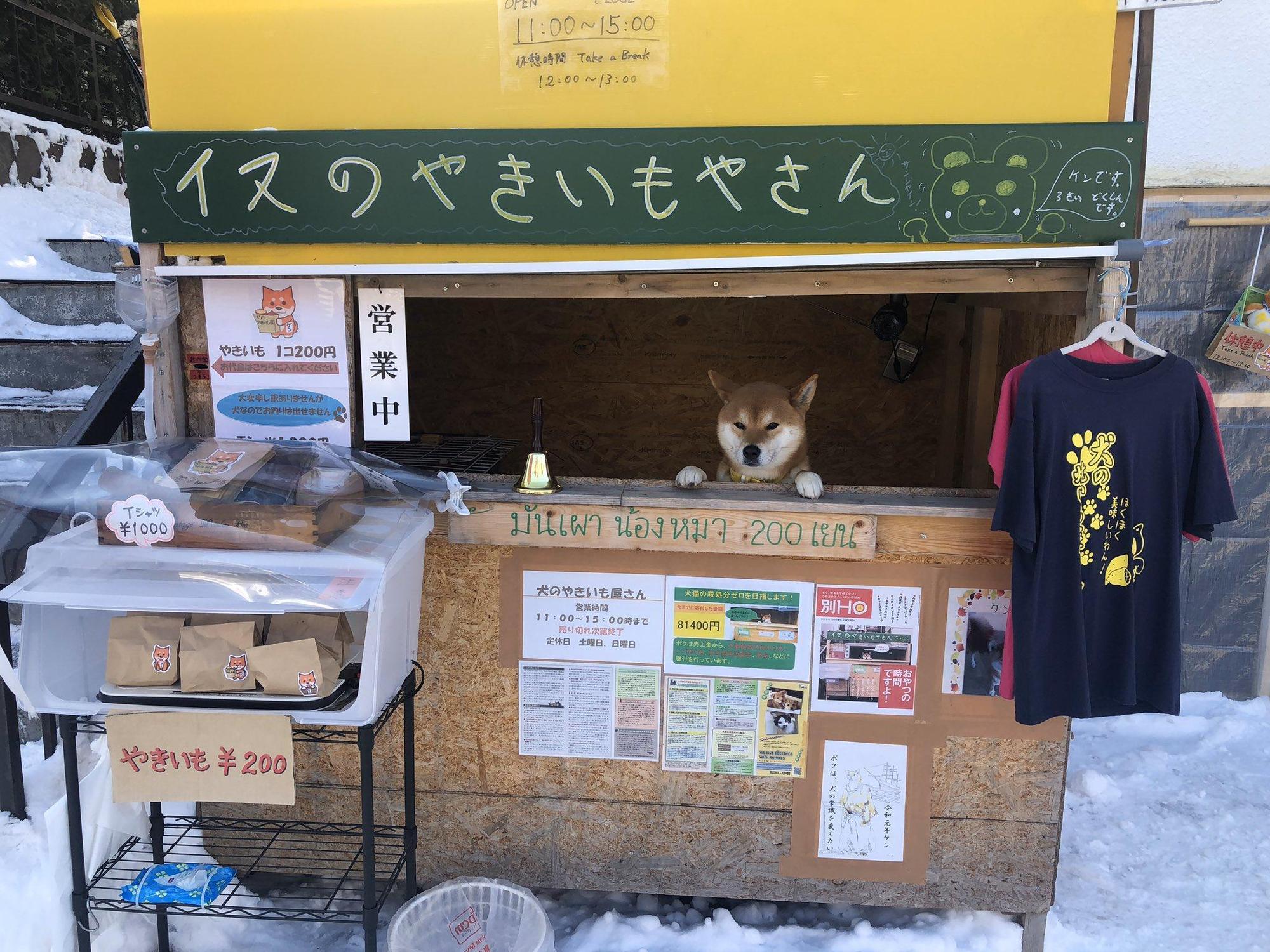 可愛的柴柴店長因病過世,讓眾人相當不捨。(翻攝自@ImoyaKen推特)