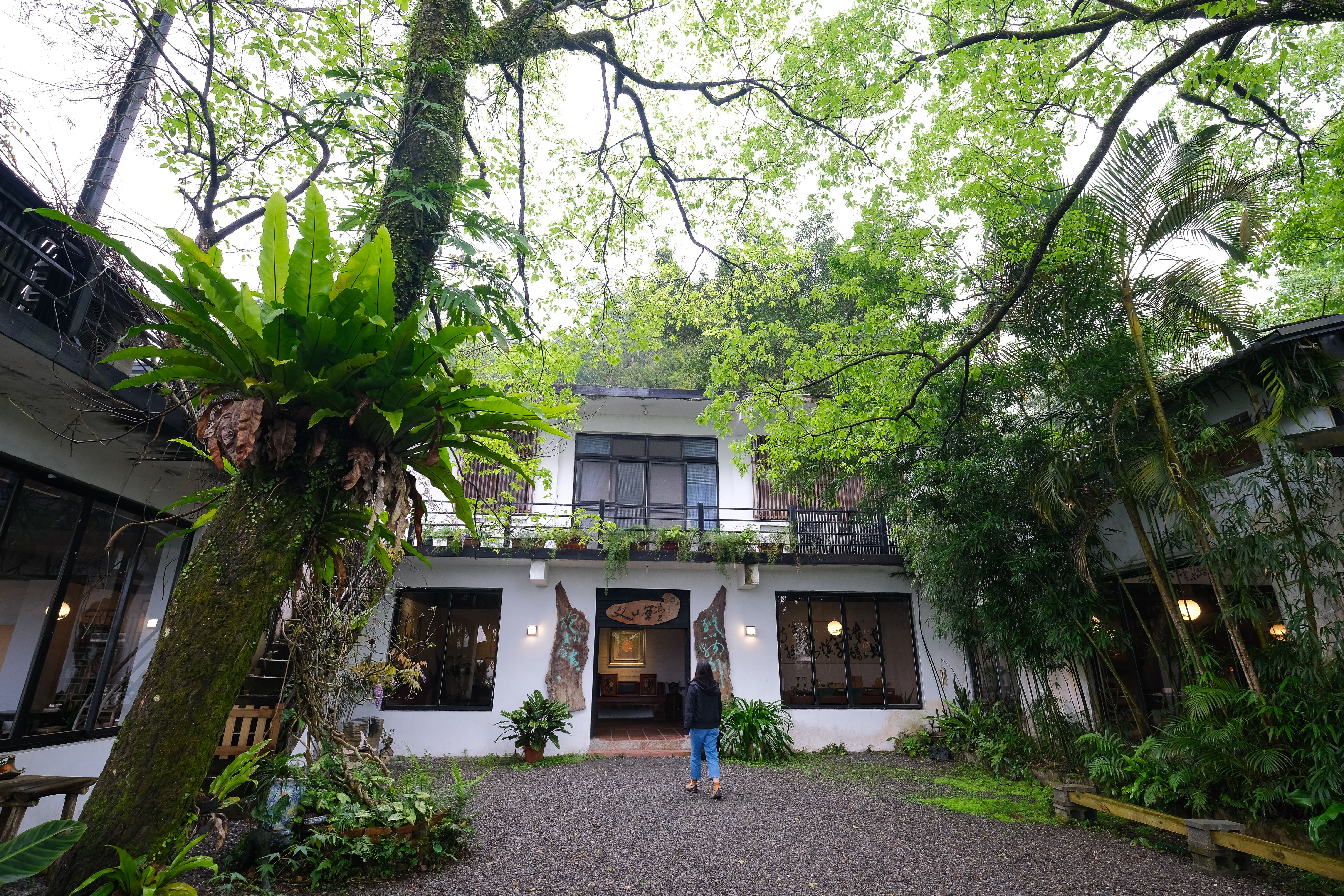 綠意滿盈的「文山草堂」在山區起霧時可說是雲深不知處的寫照。