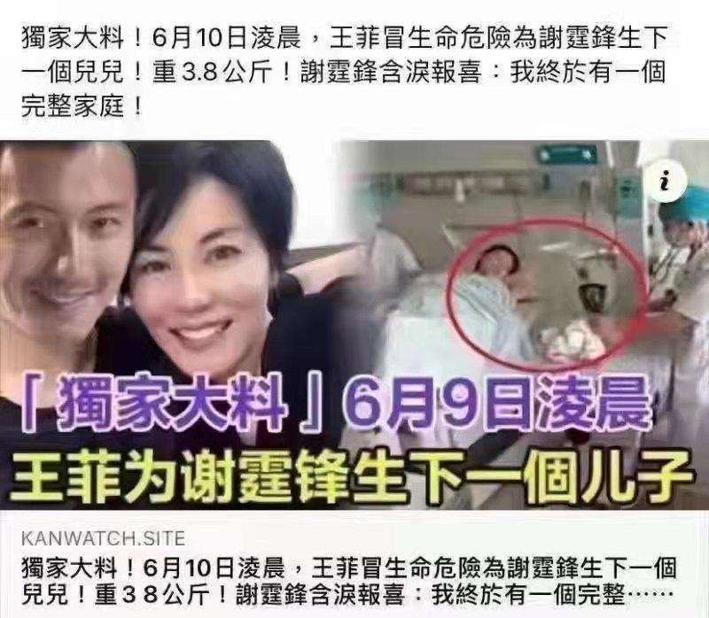 日前對岸網上瘋傳王菲為謝霆鋒產子，但此爆料卻被多數網友當笑話看。（翻攝自網路）