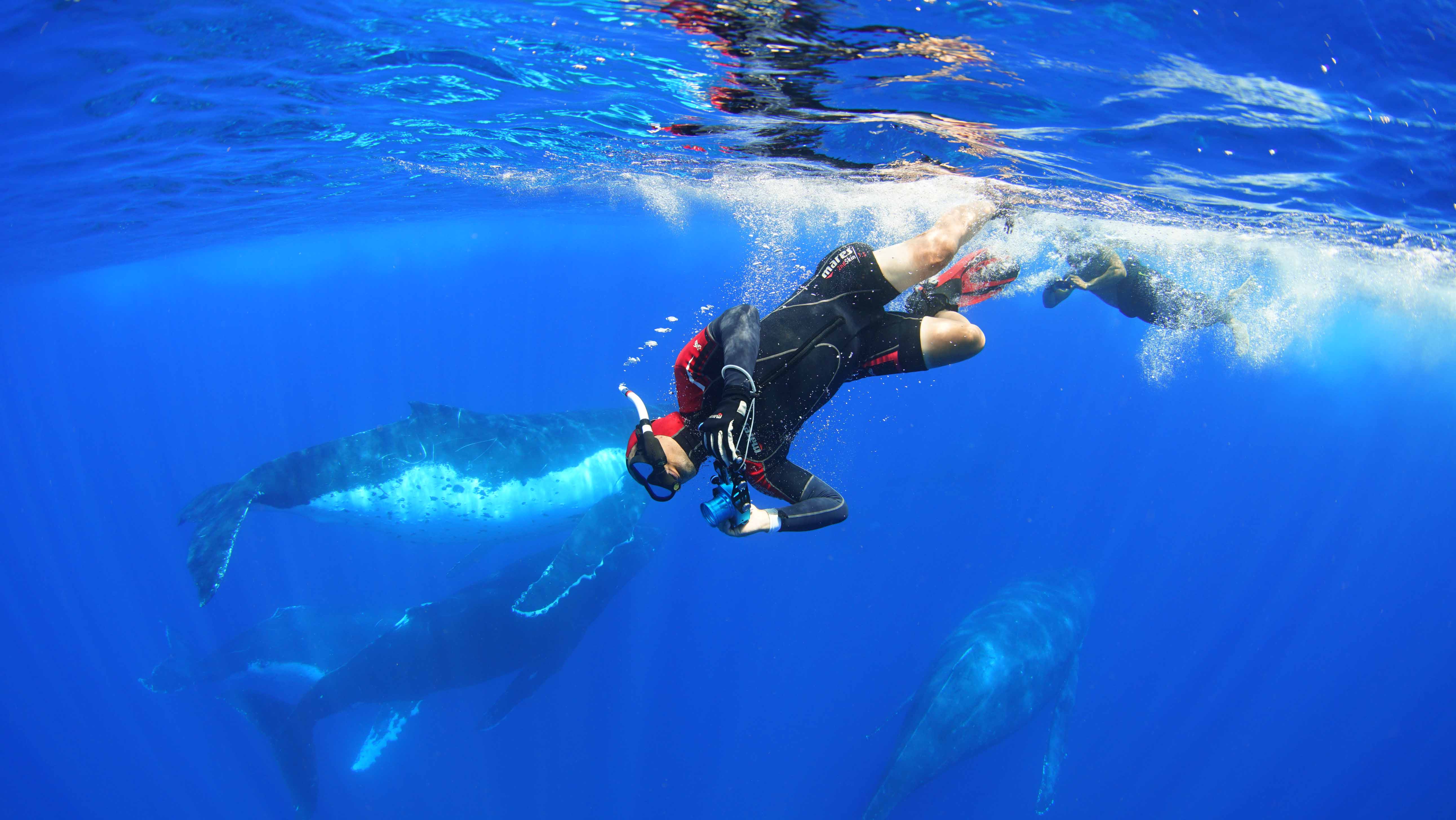 《男人與他的海》上映時寫下全台500萬票房佳績，並開始推動校園公播計畫「海洋之子2.0」。（牽猴子提供）